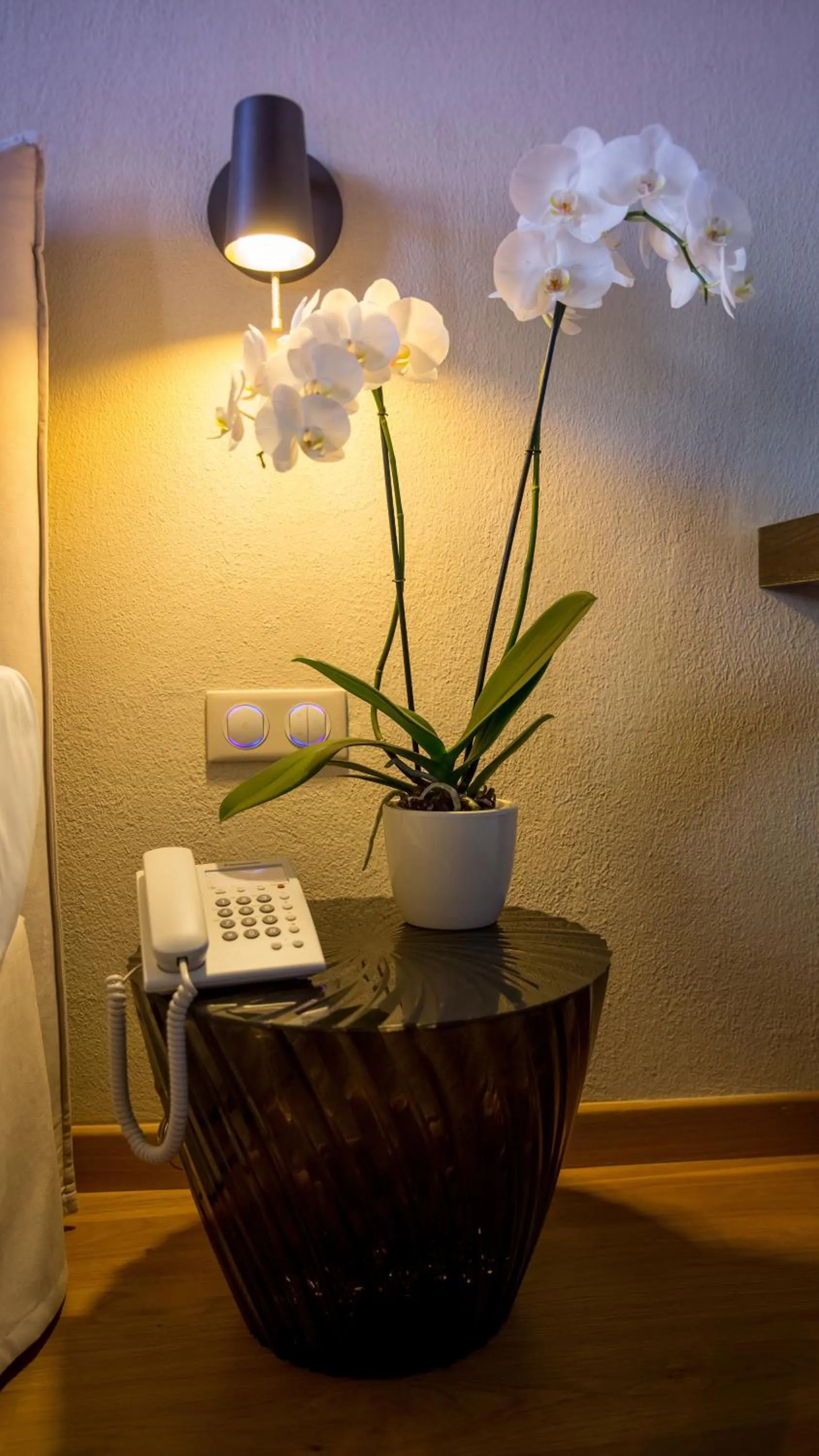 Decorative detail in Allegory Boutique Hotel