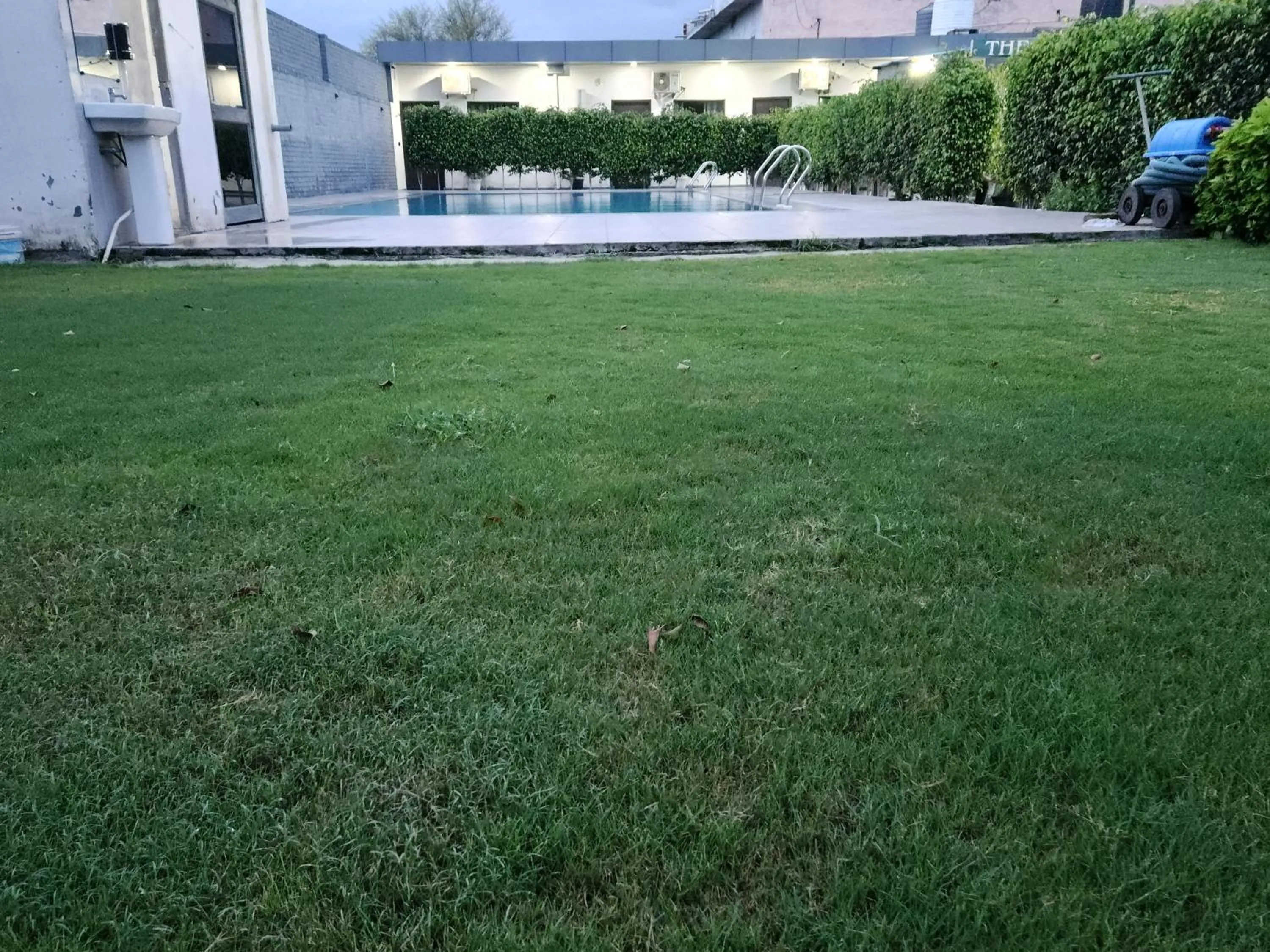 Garden in The Lagoon