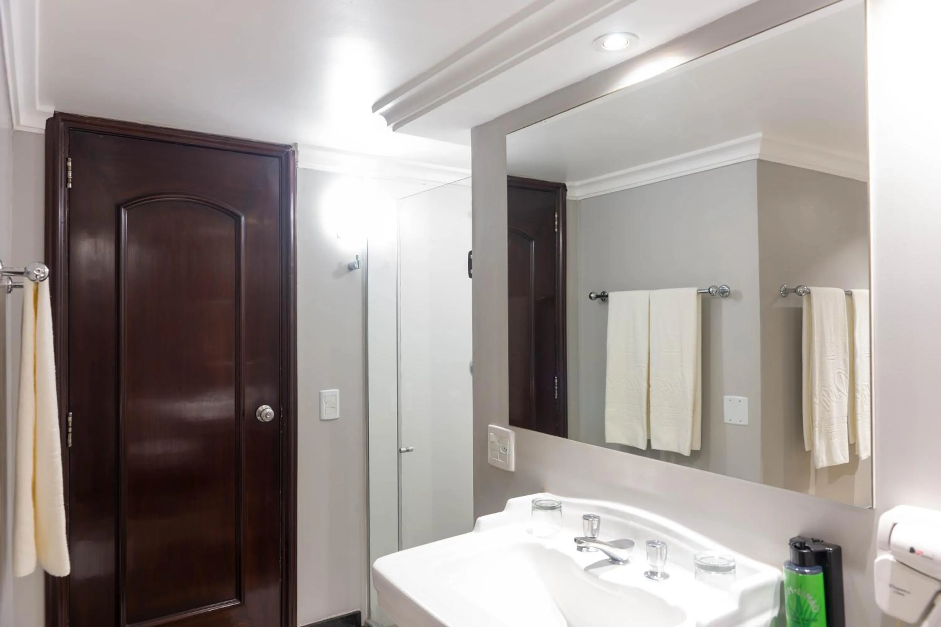 Shower, Bed in Plaza São Rafael Hotel