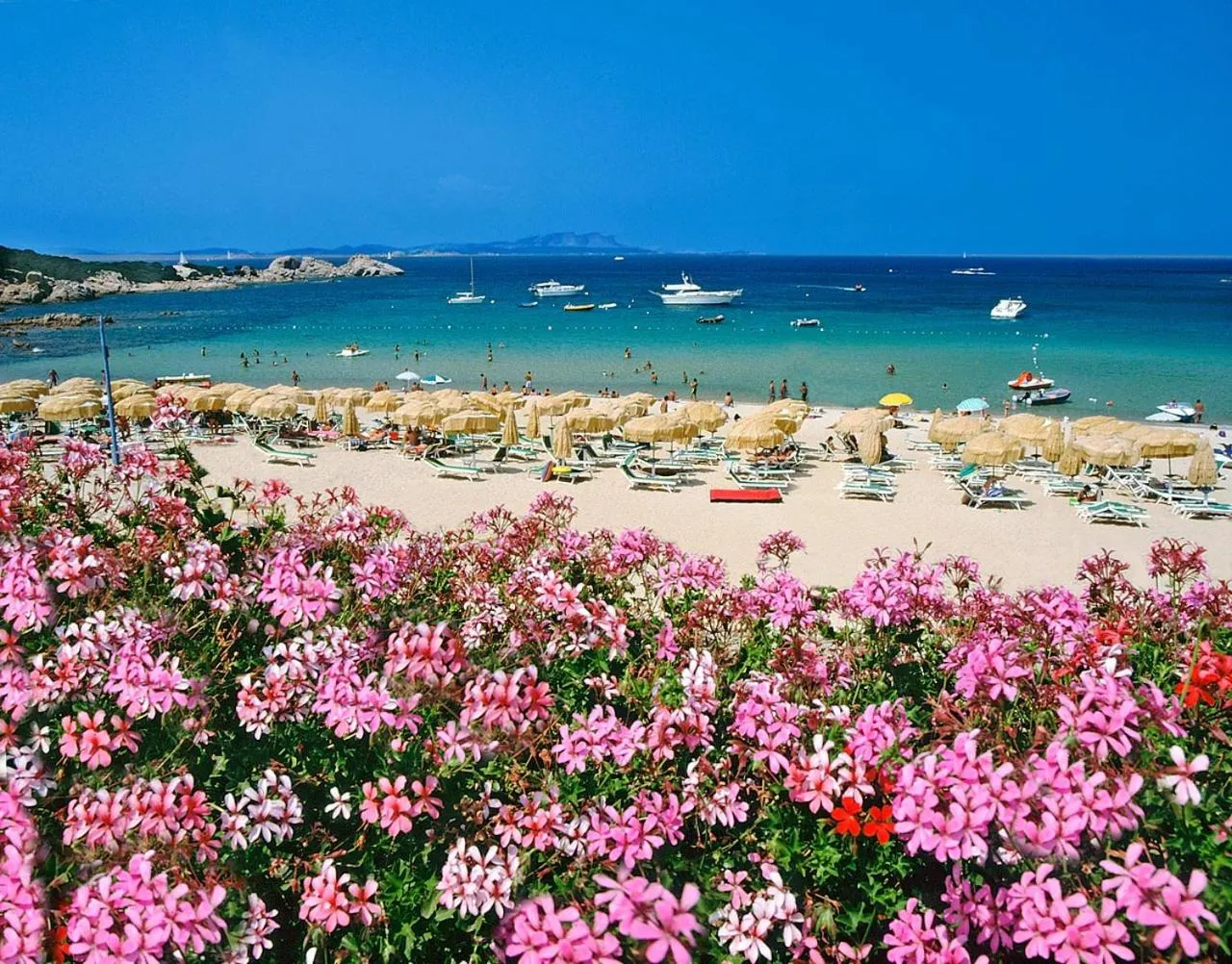 Beach in Hotel Punta Est