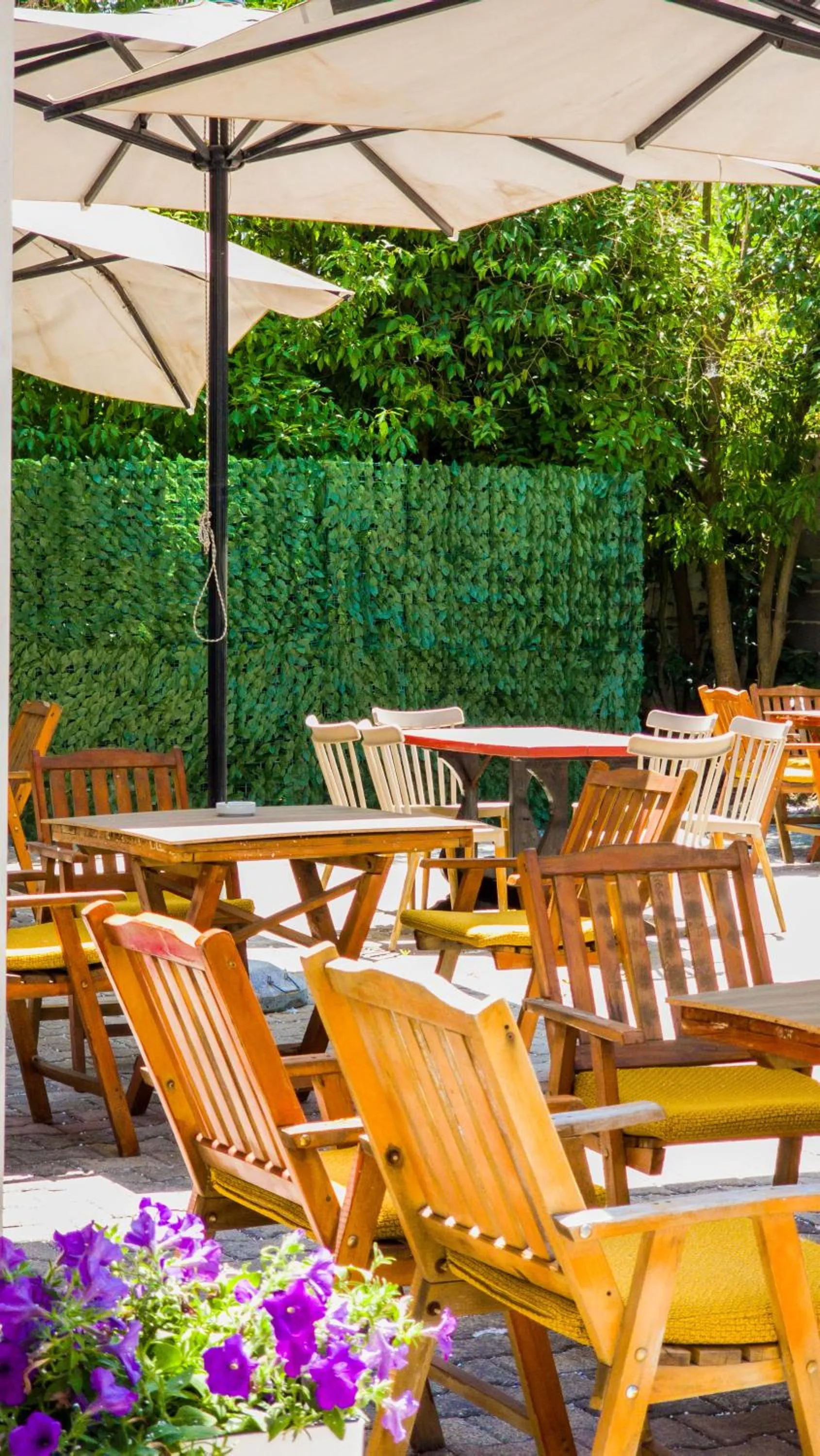 Garden in KURTI Hotel