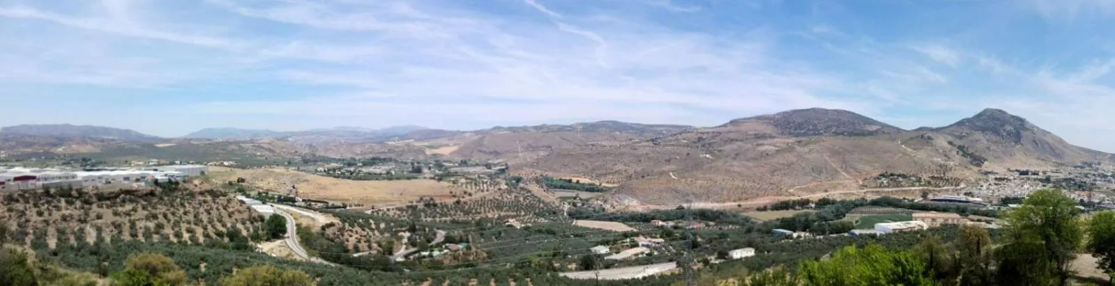 Natural landscape in Hotel Abades Manzanil