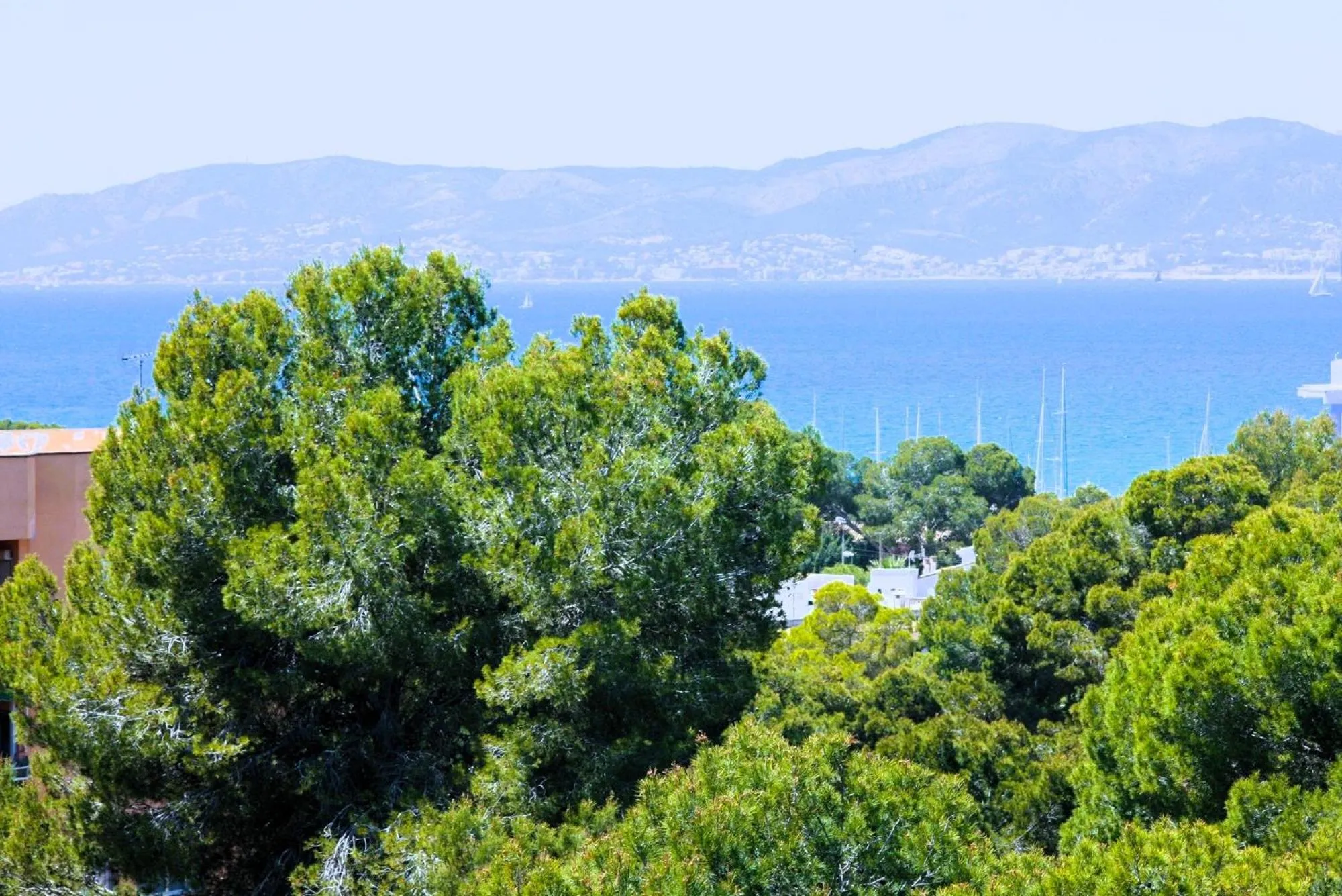 View (from property/room) in Welikehotel Fenix