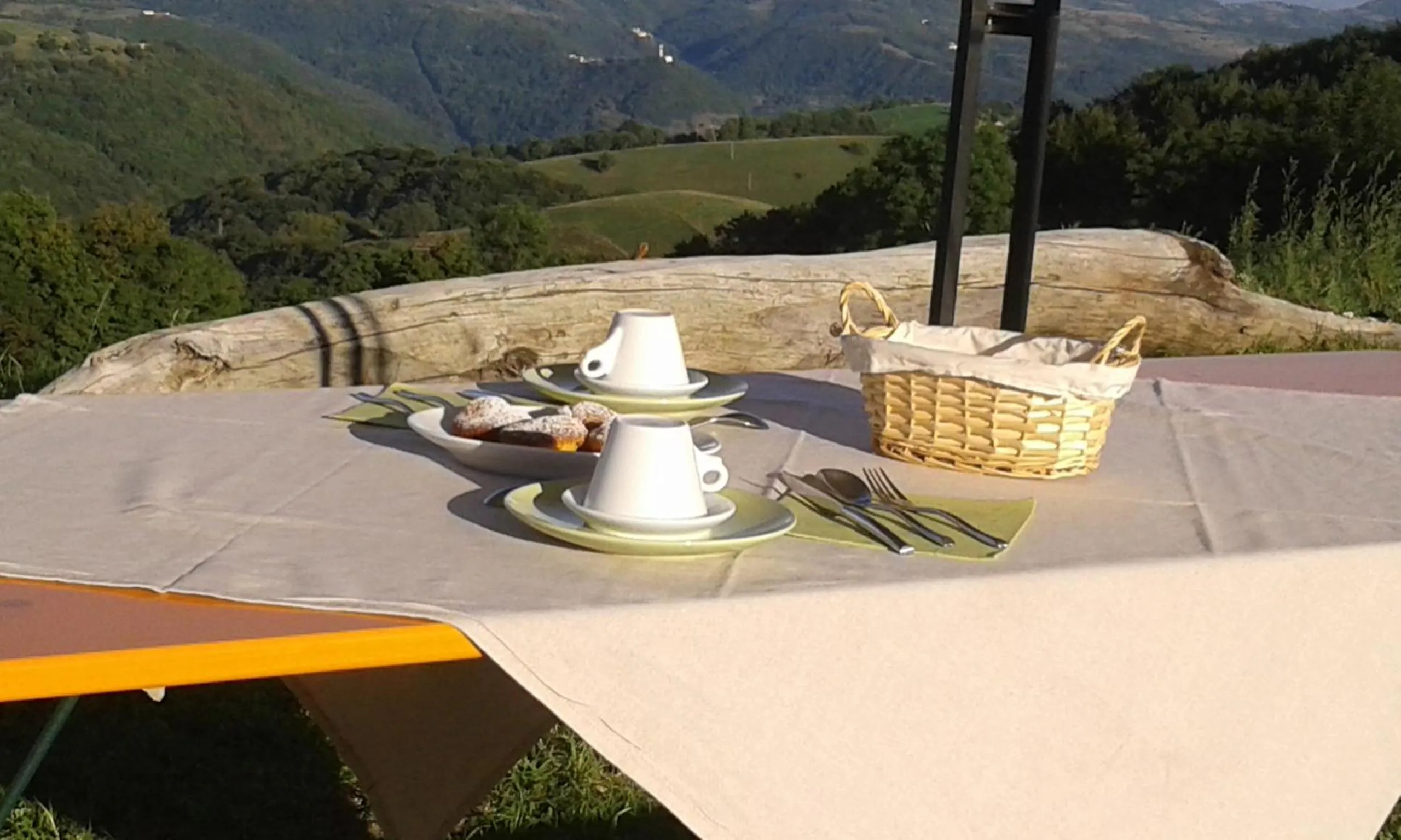 Property building in Malga Zebari