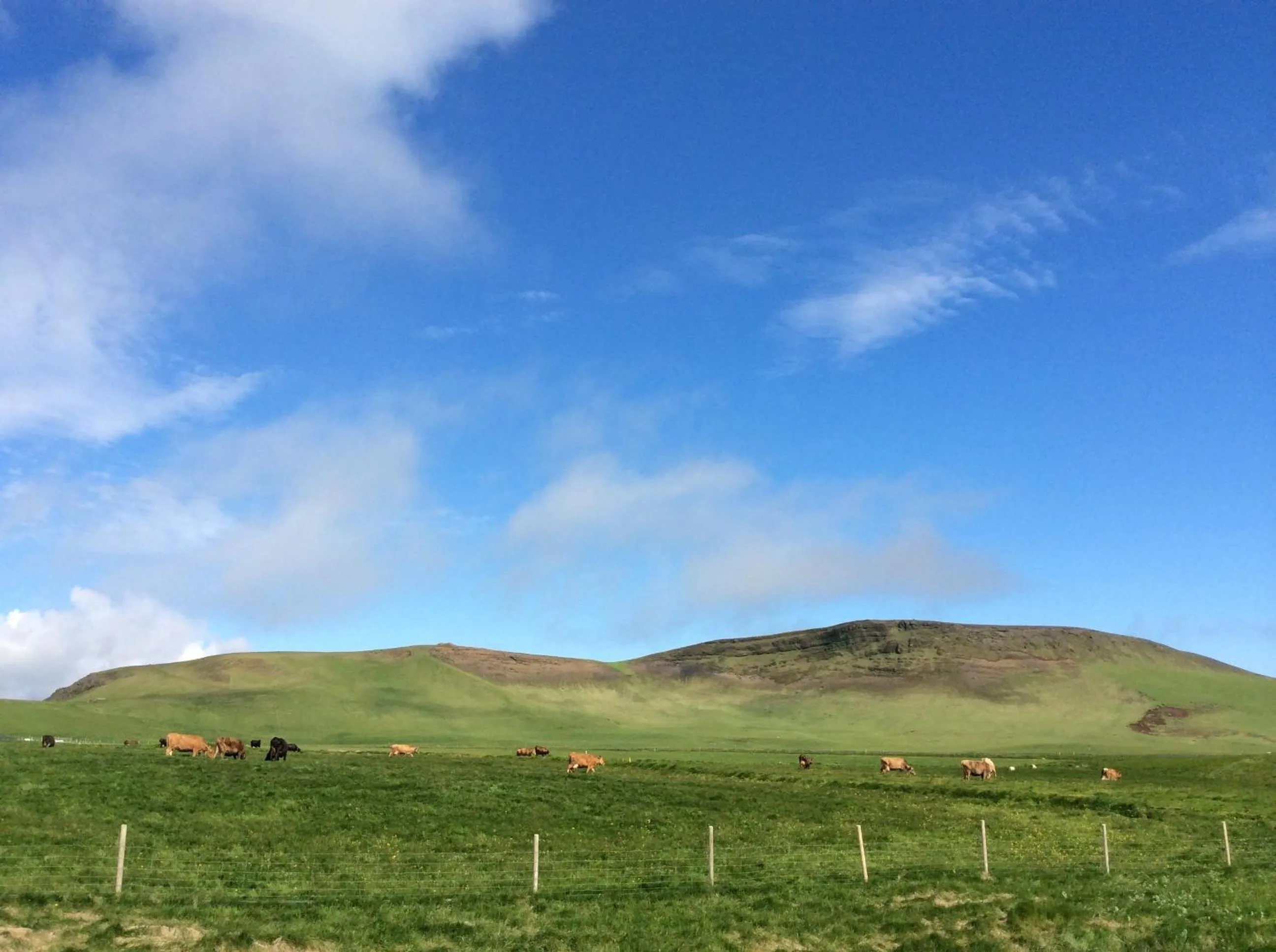 Day in Hvammból Guesthouse