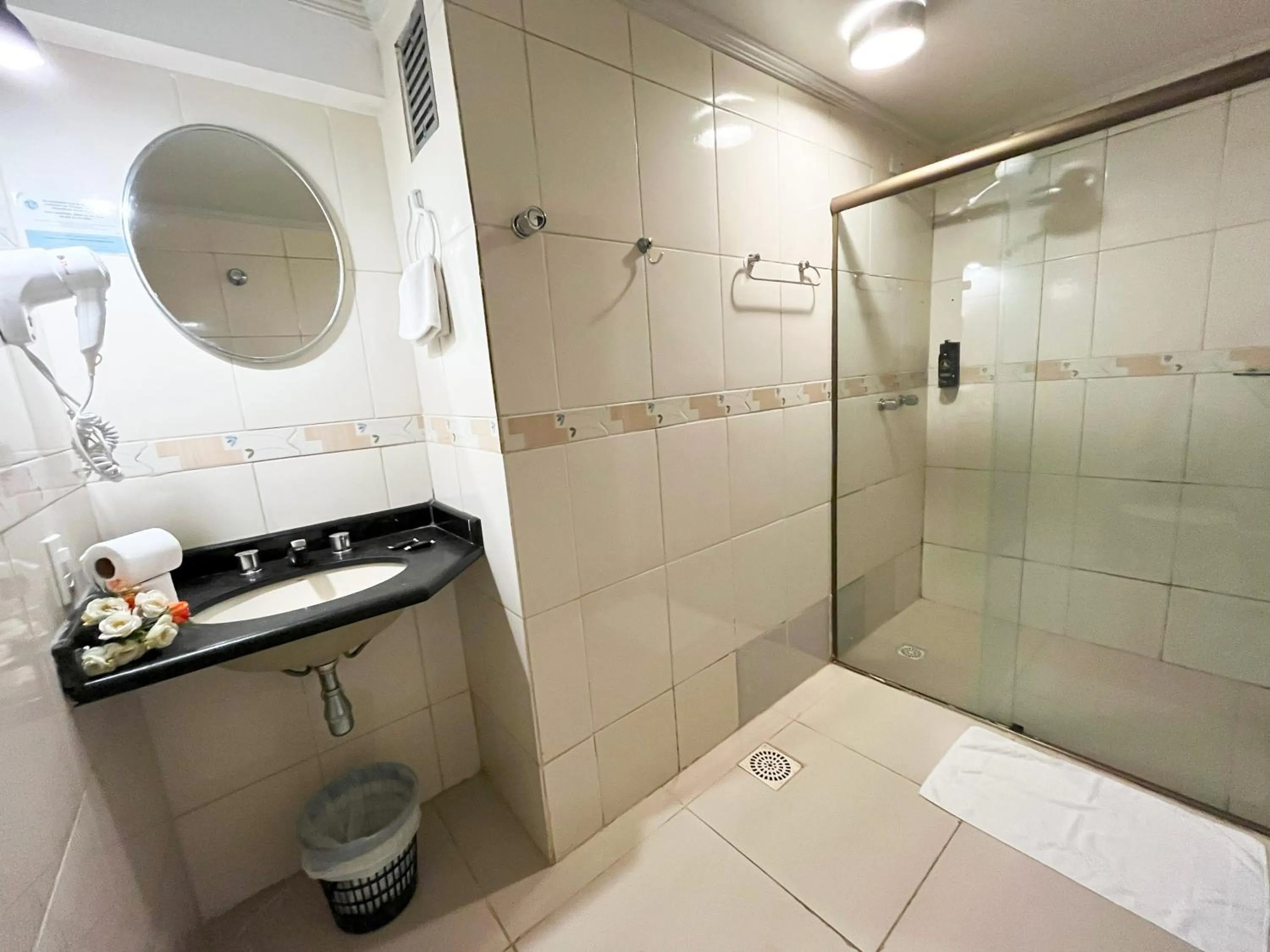 Bathroom in Hotel Econotel by Bsb Inn