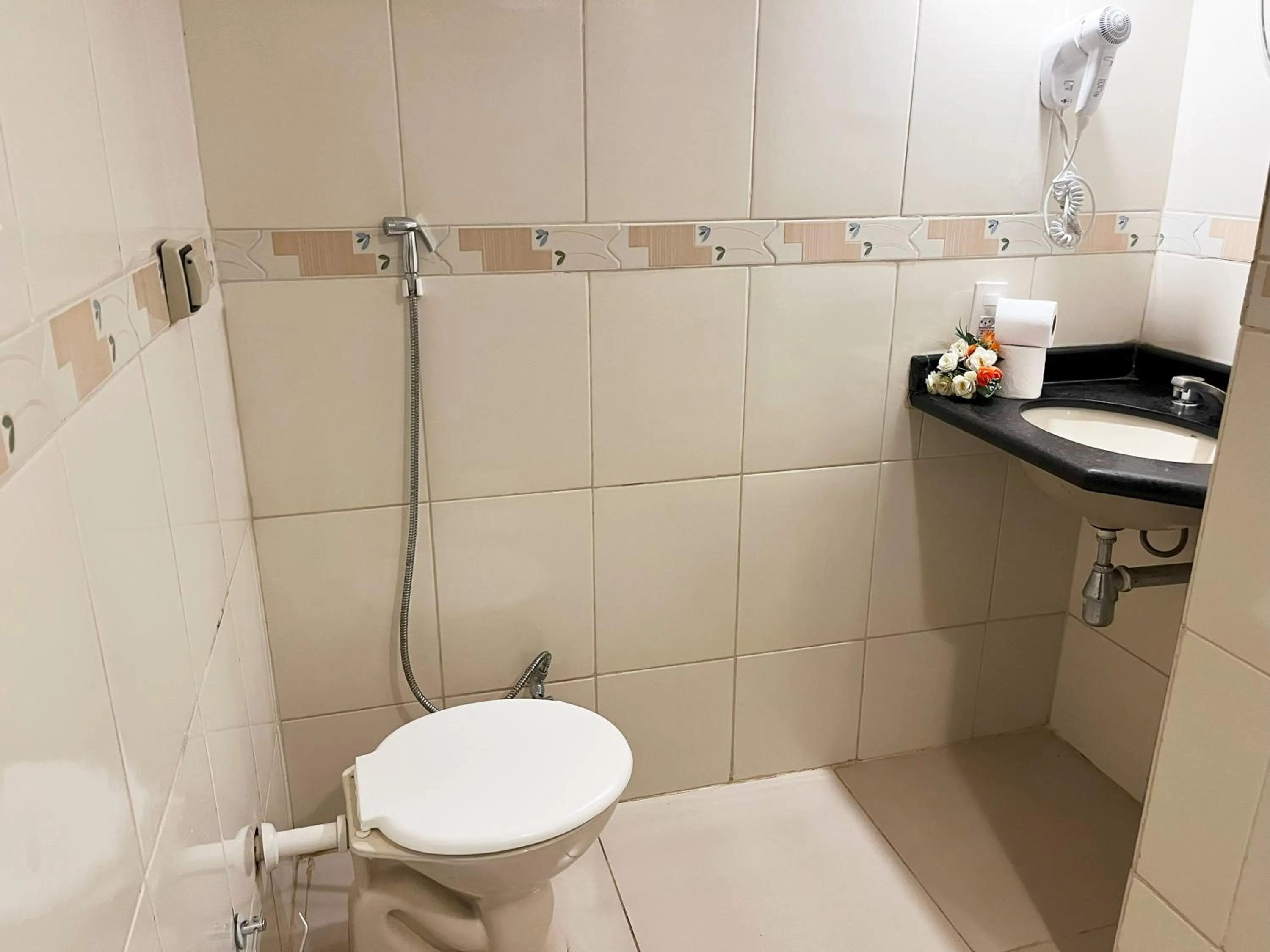 Bathroom in Hotel Econotel by Bsb Inn