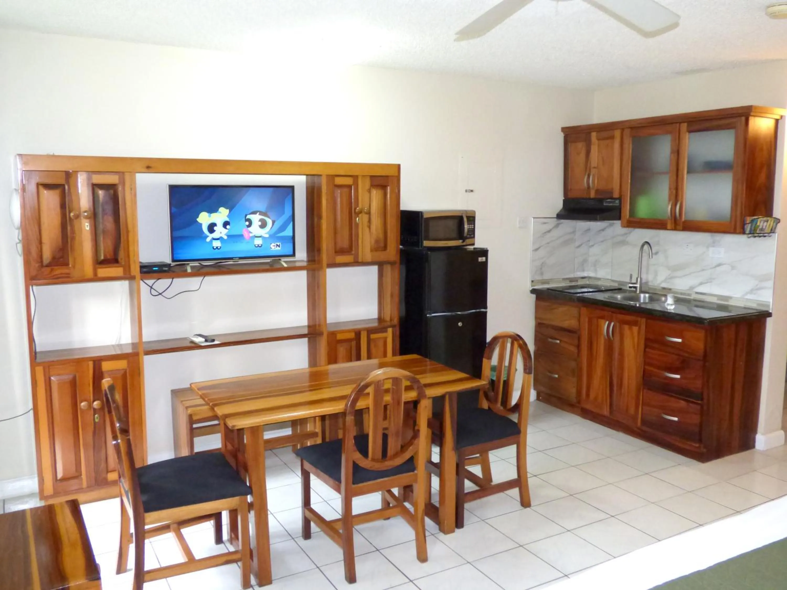 TV and multimedia in Beach Studio 6