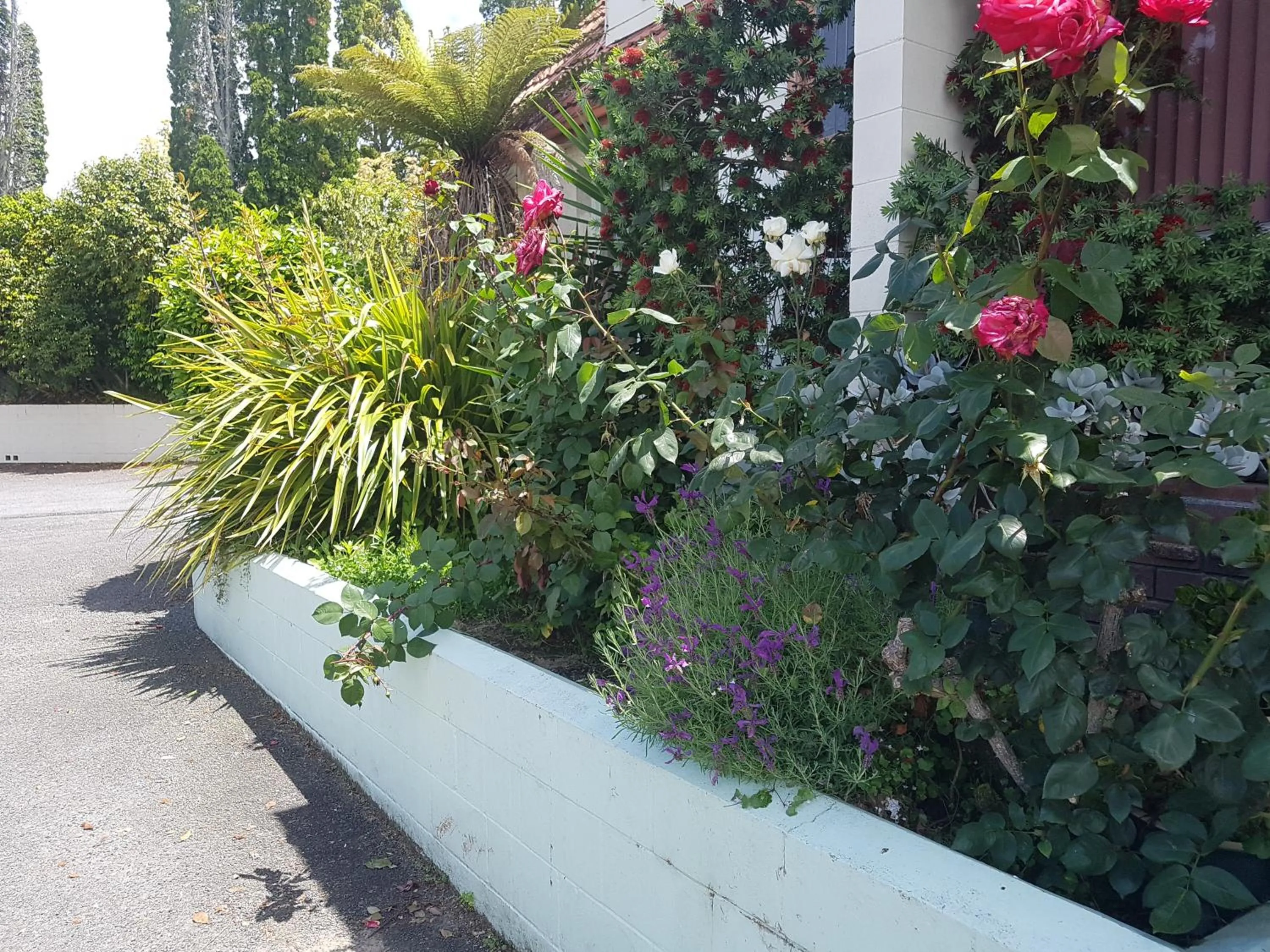 Garden in Putaruru Arms Motor Inn