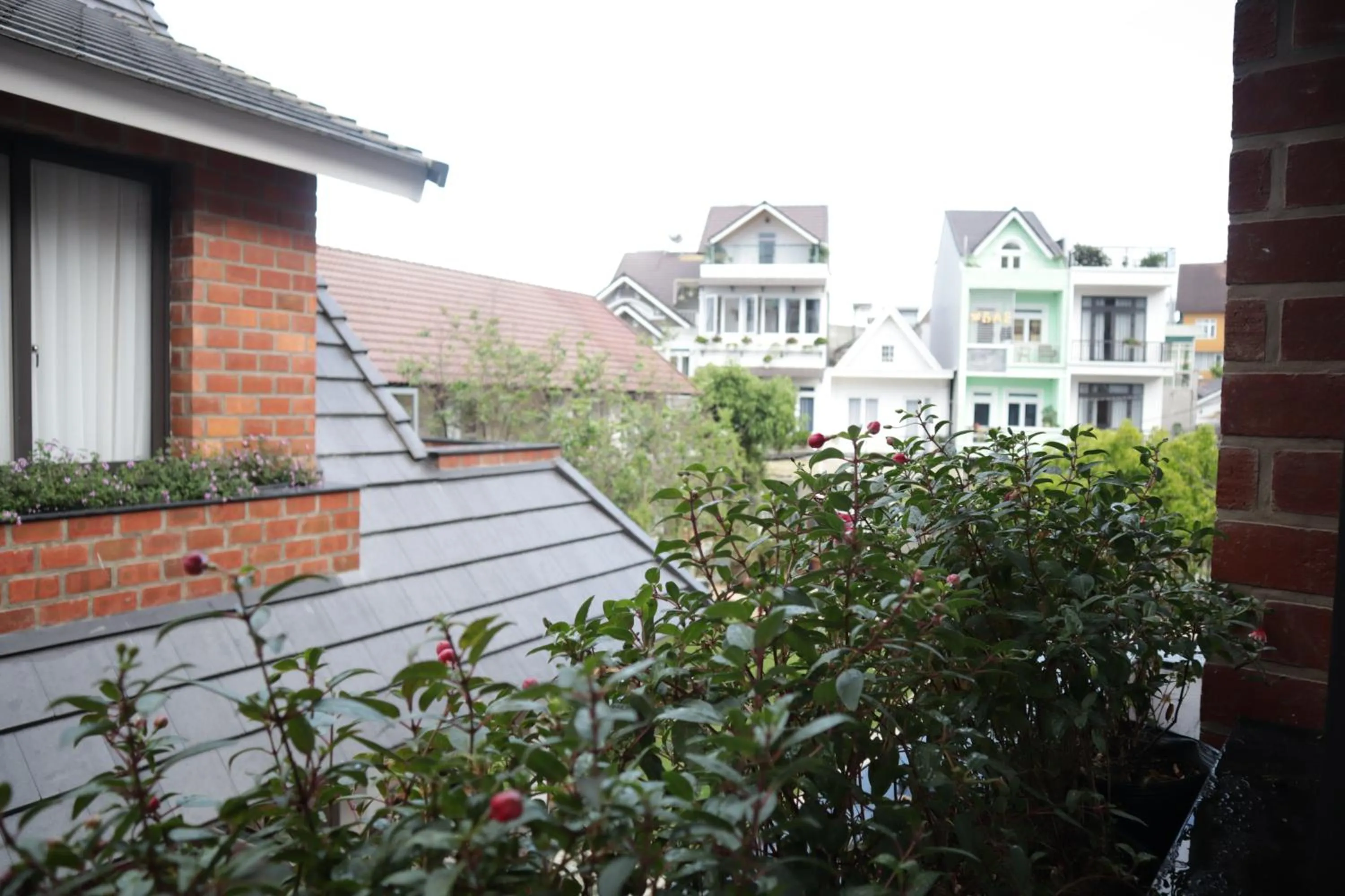 View (from property/room) in Hoang Loc Villa