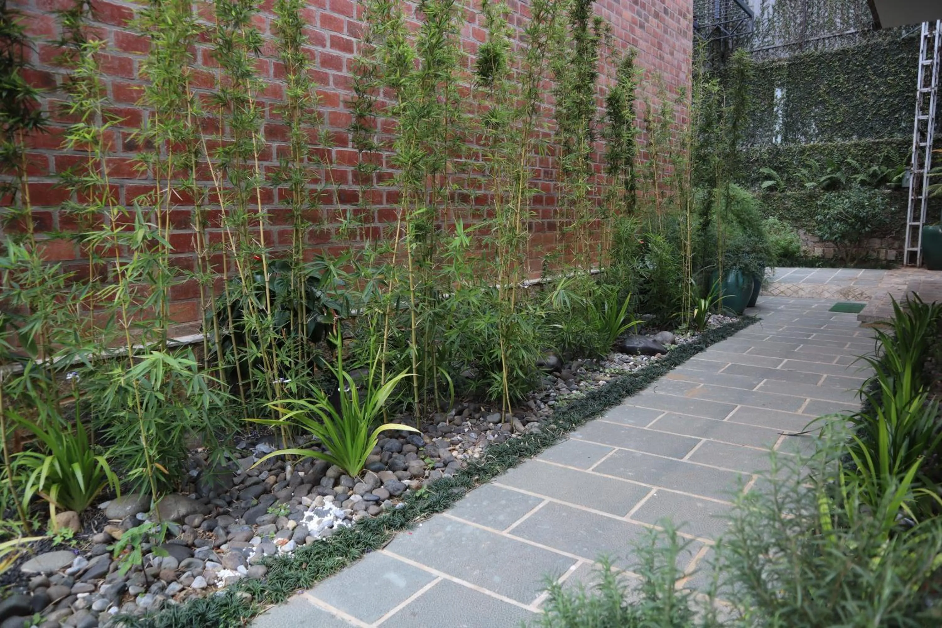 Day in Hoang Loc Villa