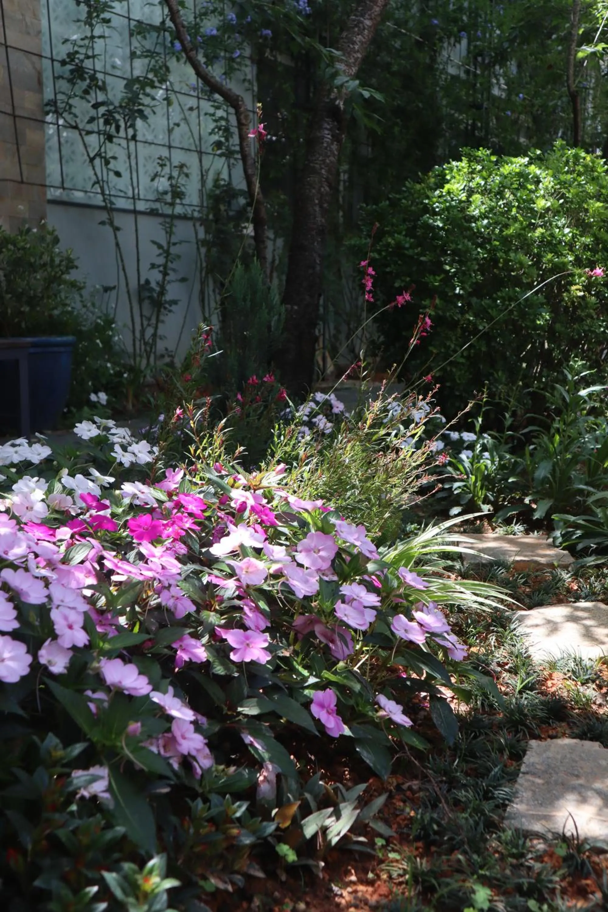 Spring in Hoang Loc Villa