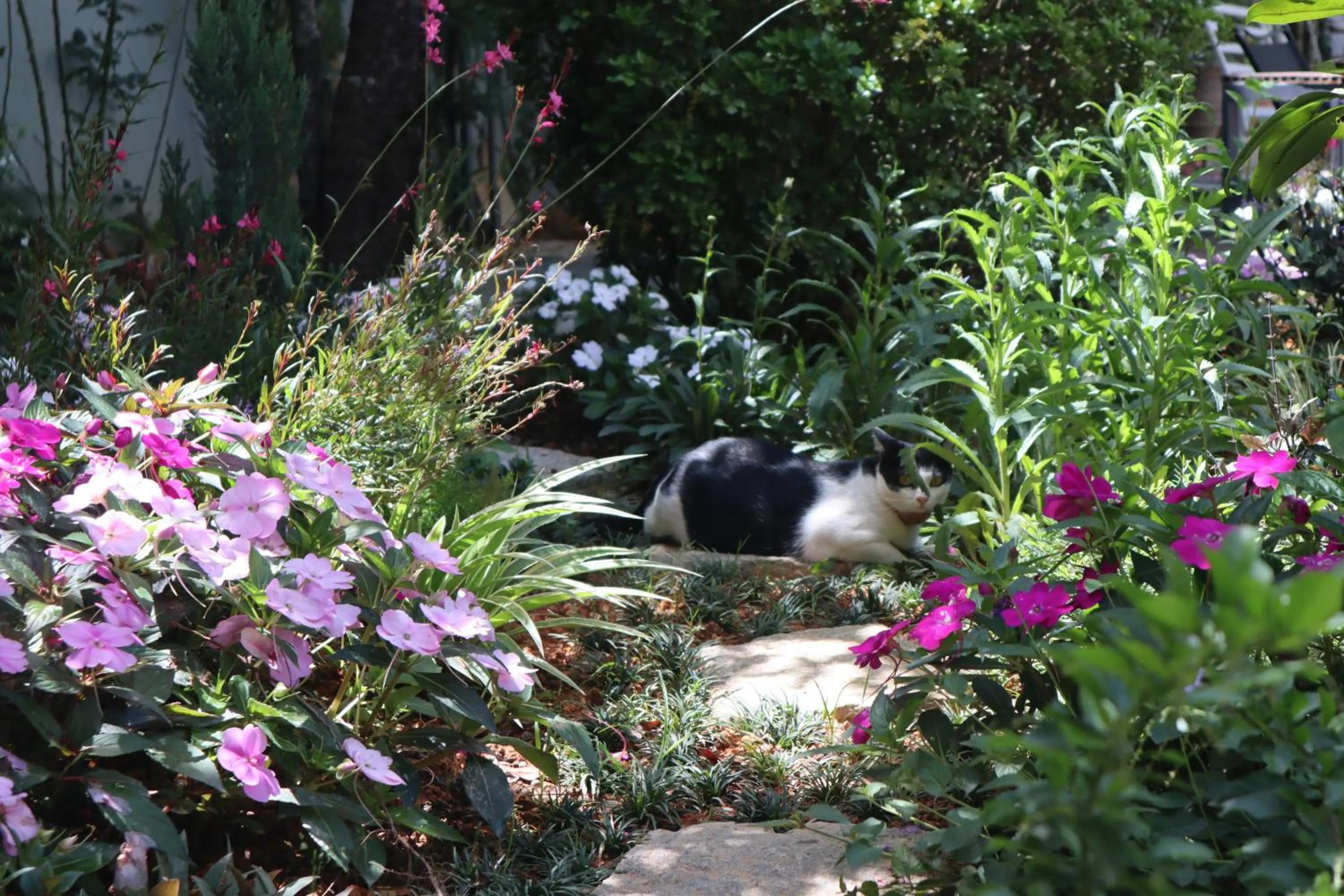 Spring in Hoang Loc Villa