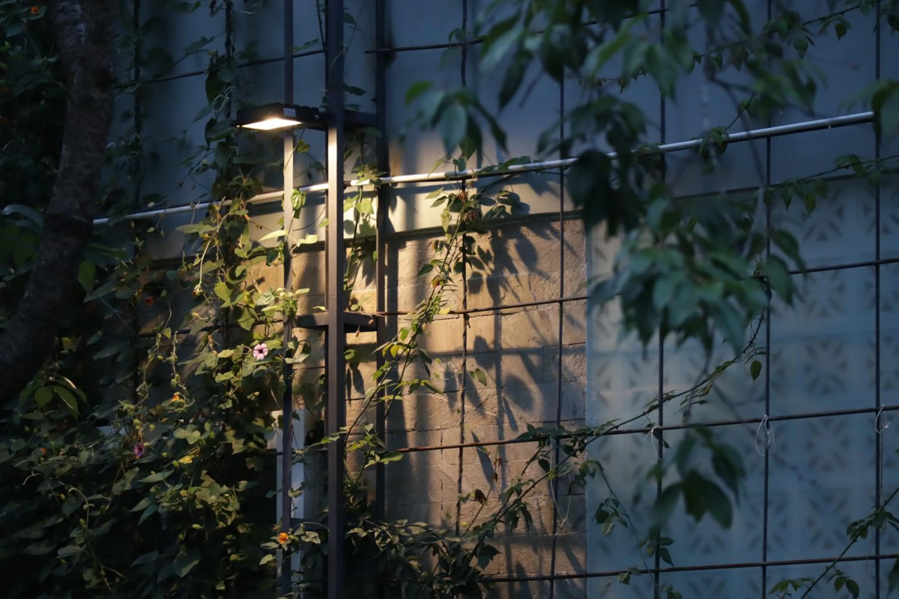 Night in Hoang Loc Villa