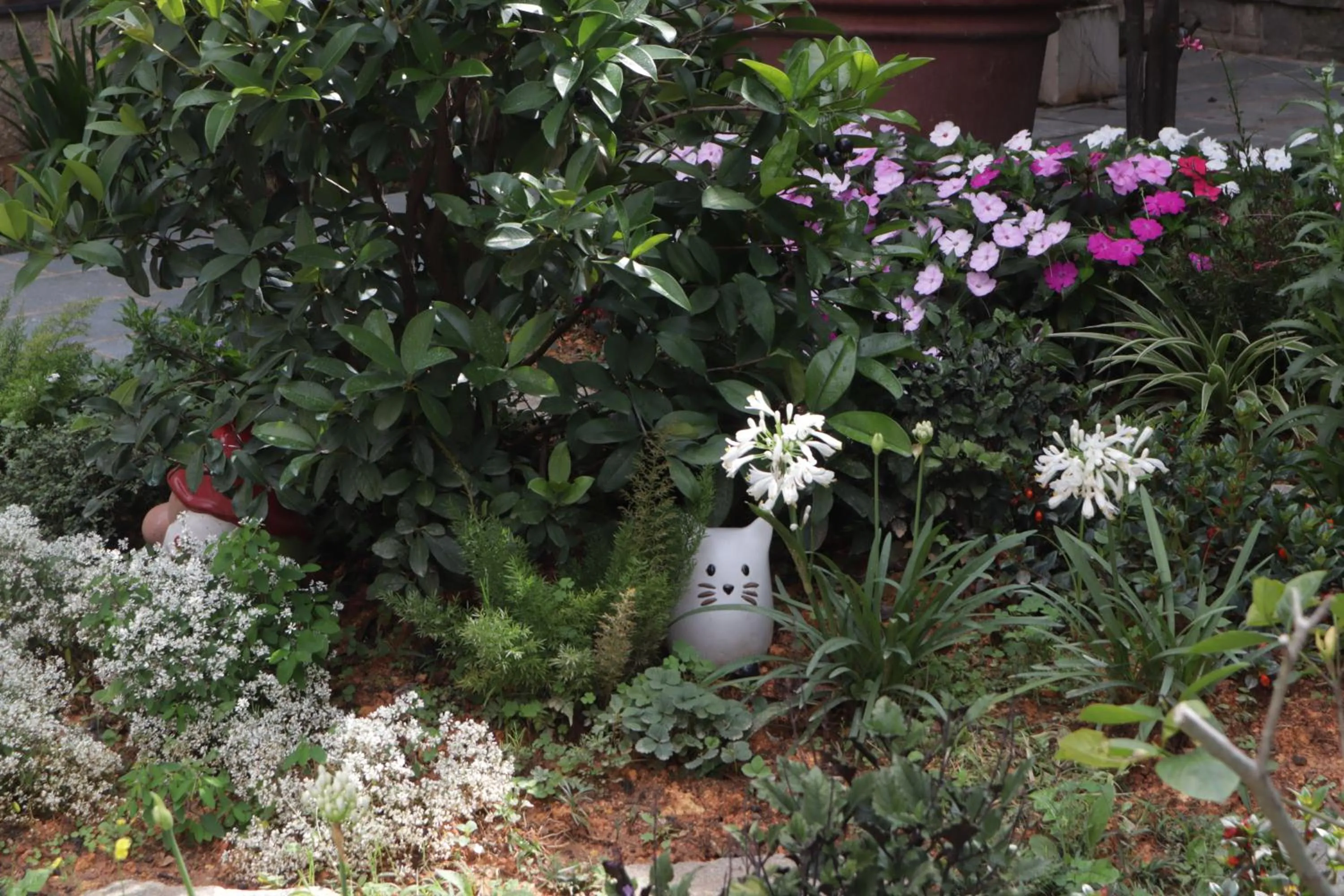 Spring in Hoang Loc Villa