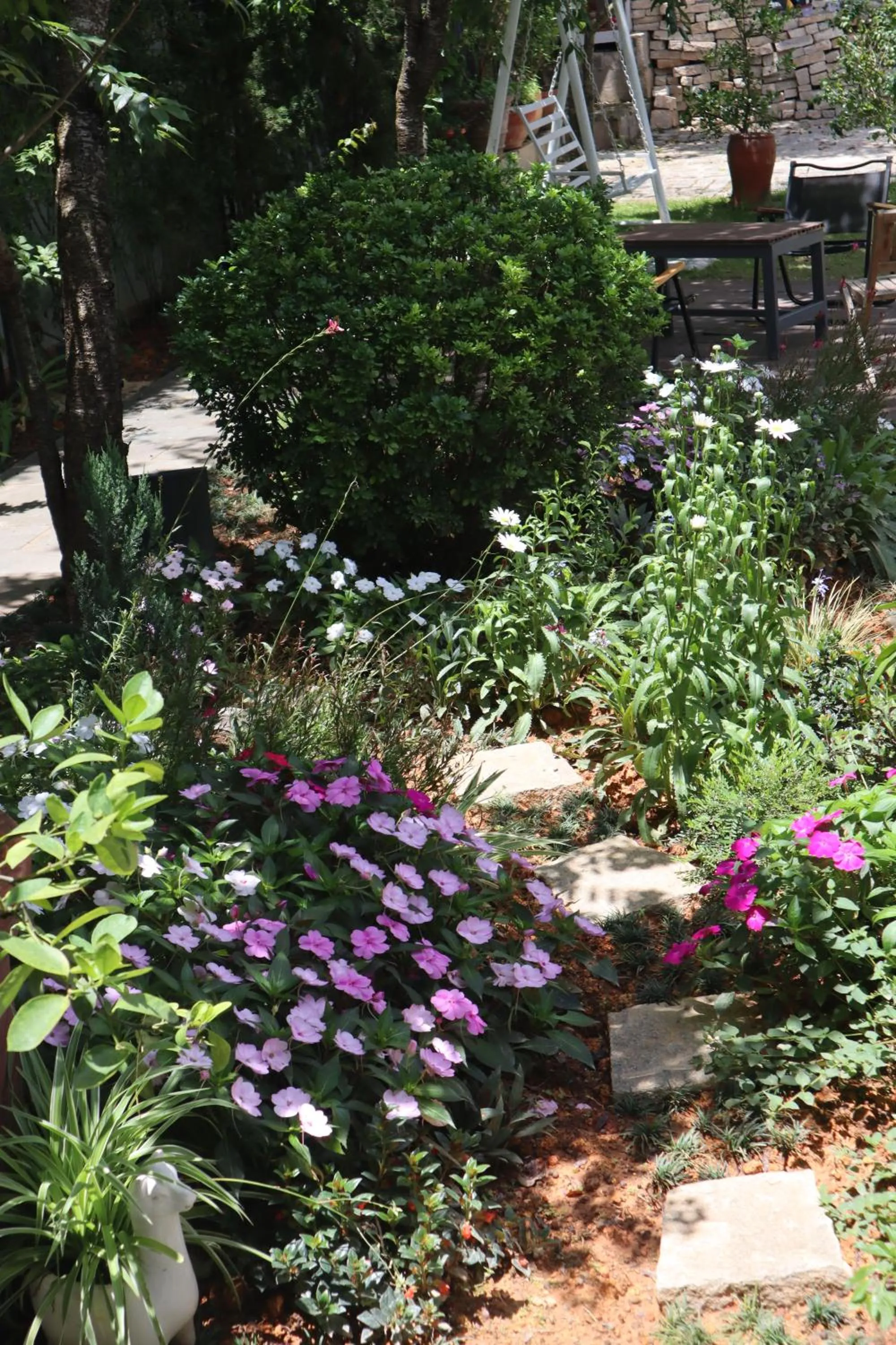 Spring in Hoang Loc Villa