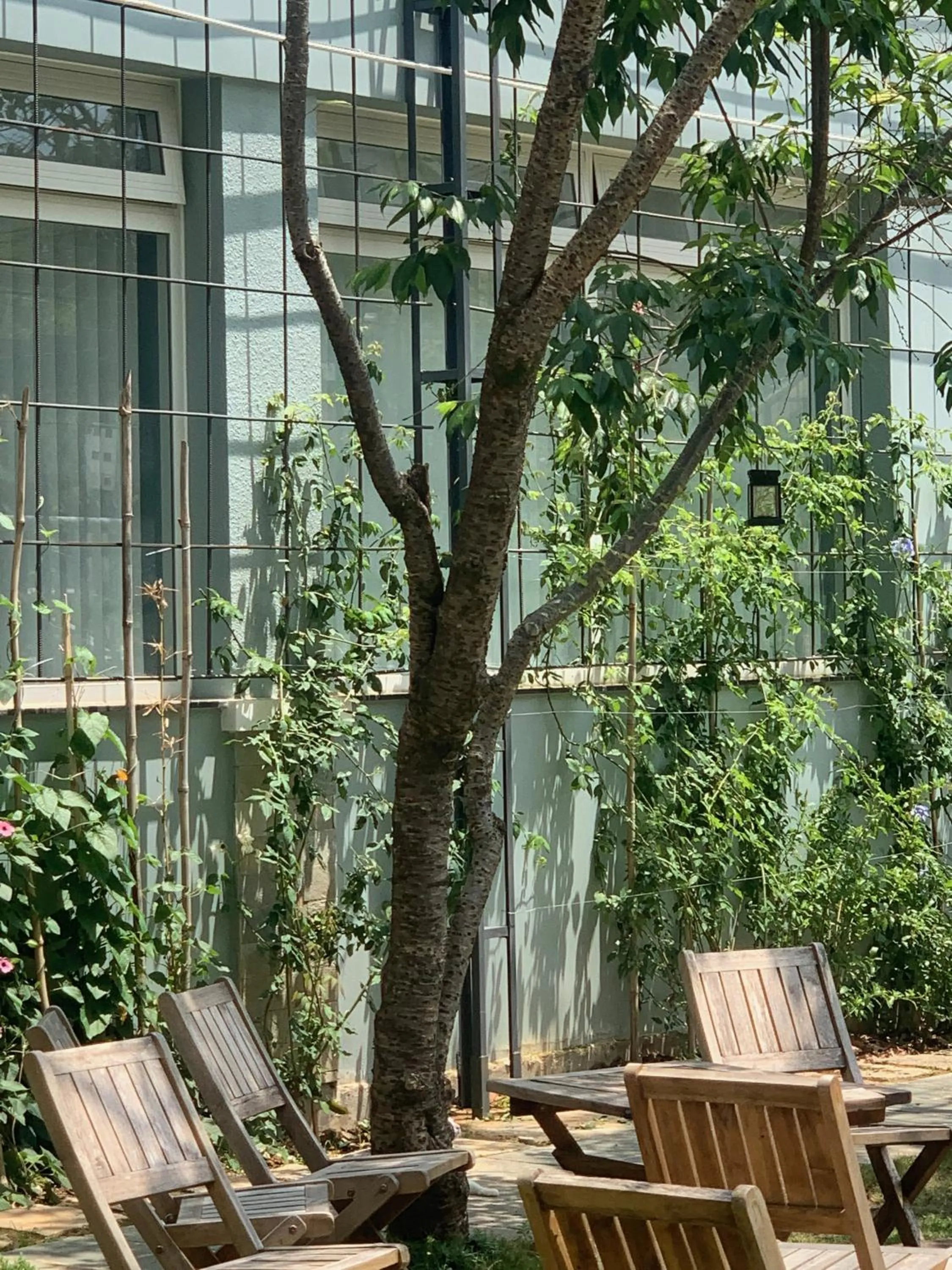 Spring in Hoang Loc Villa