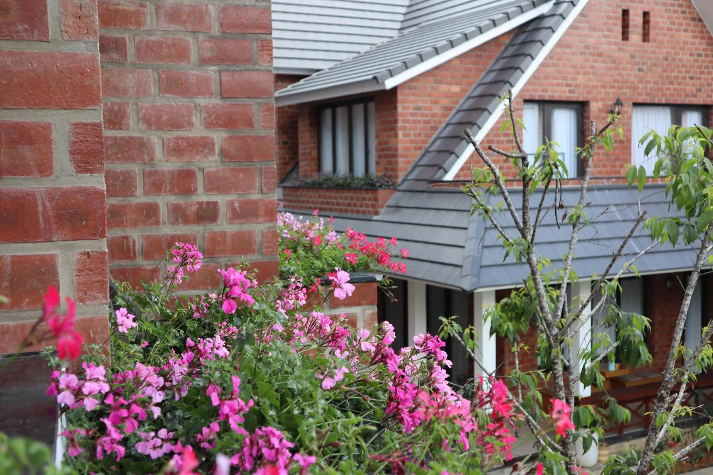 Property building in Hoang Loc Villa