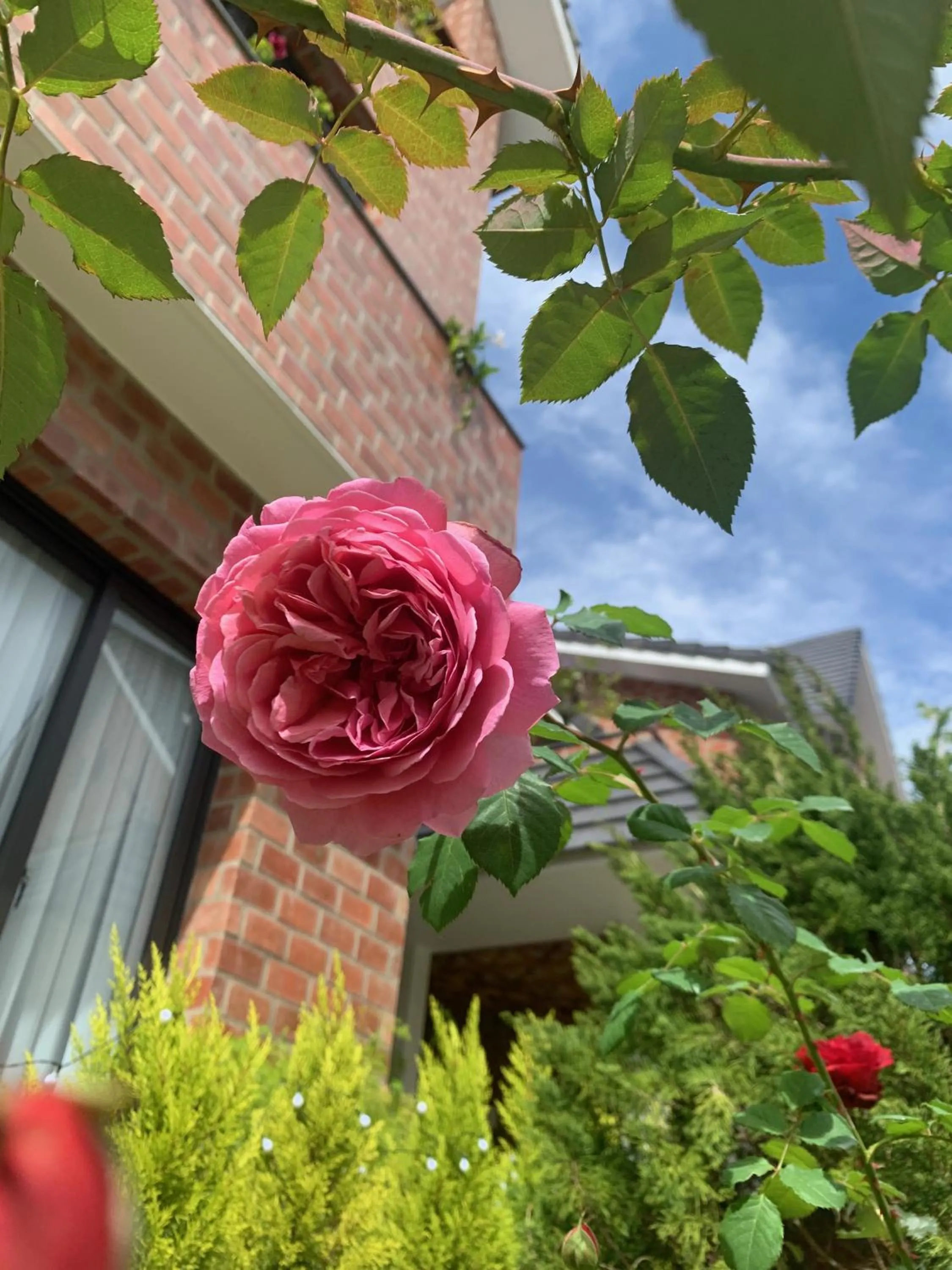 Spring in Hoang Loc Villa