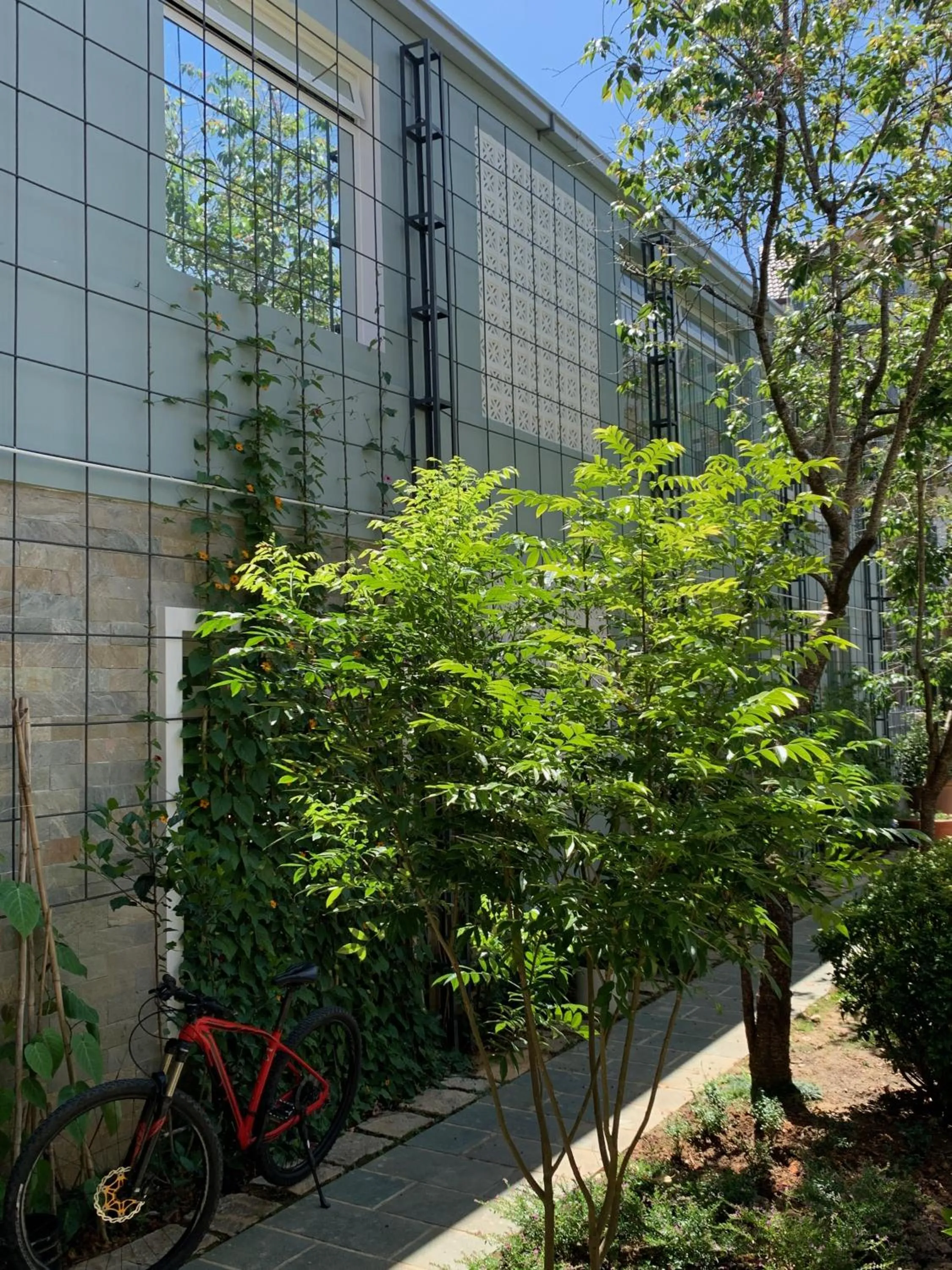 Spring in Hoang Loc Villa