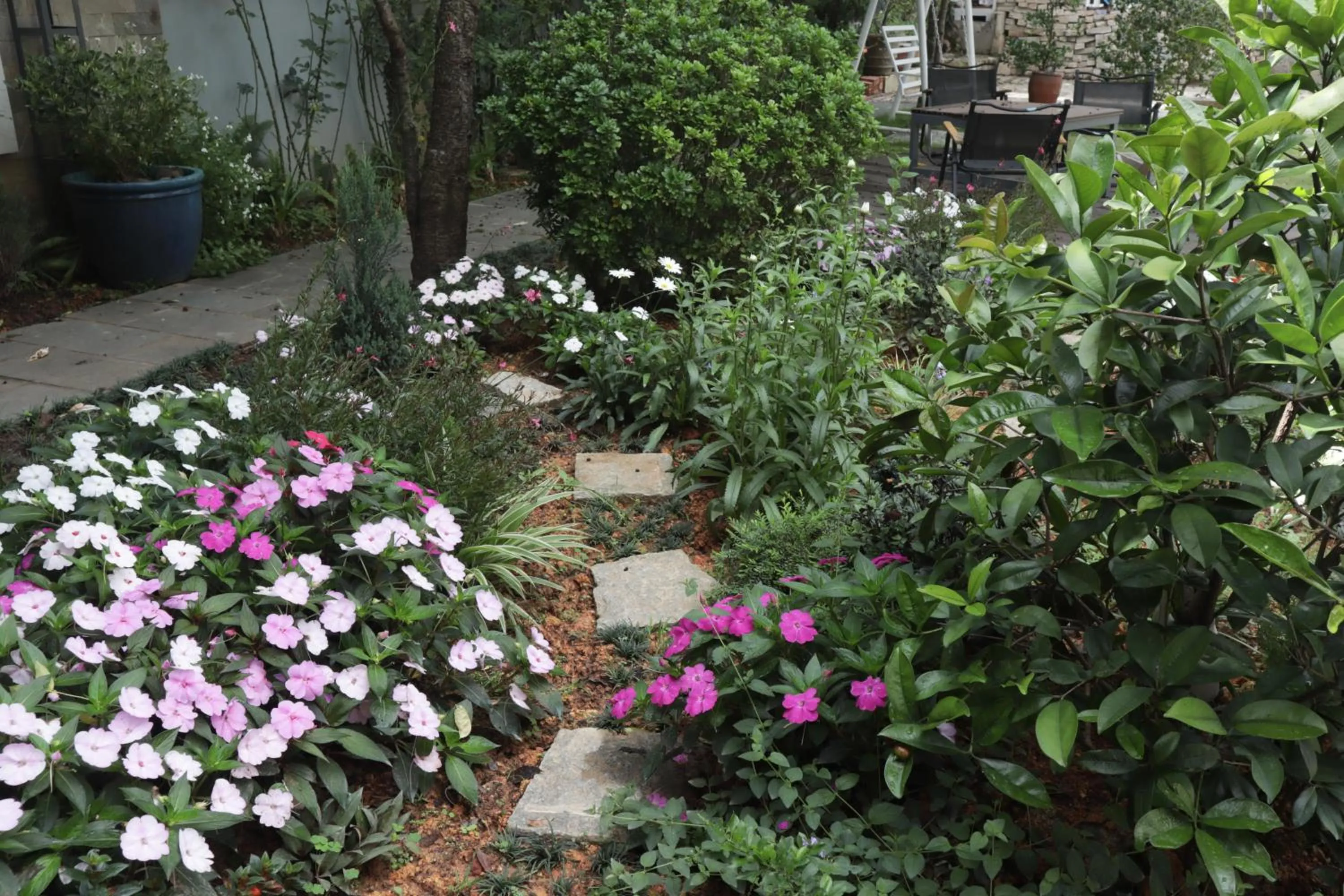 Spring in Hoang Loc Villa