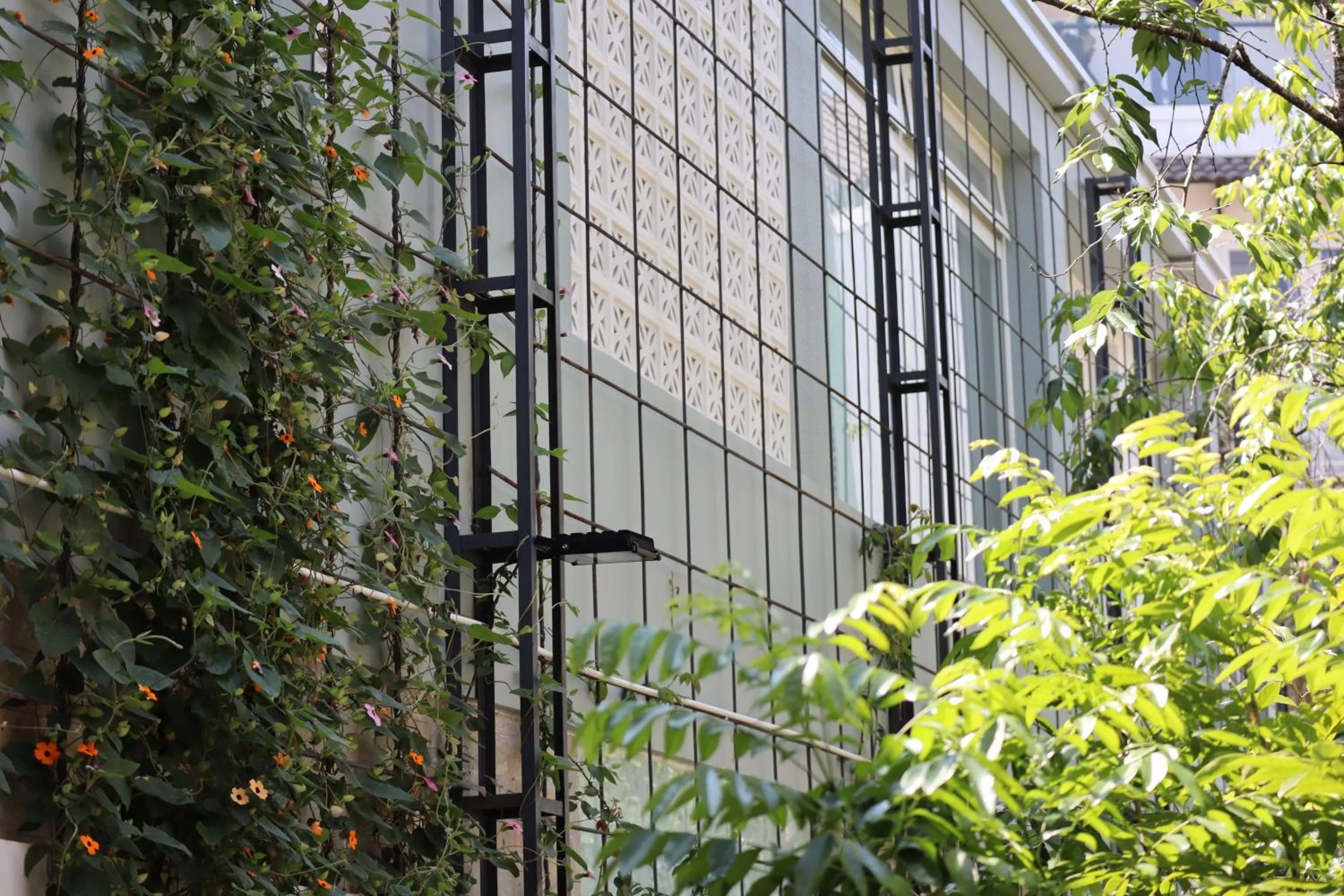 Spring in Hoang Loc Villa