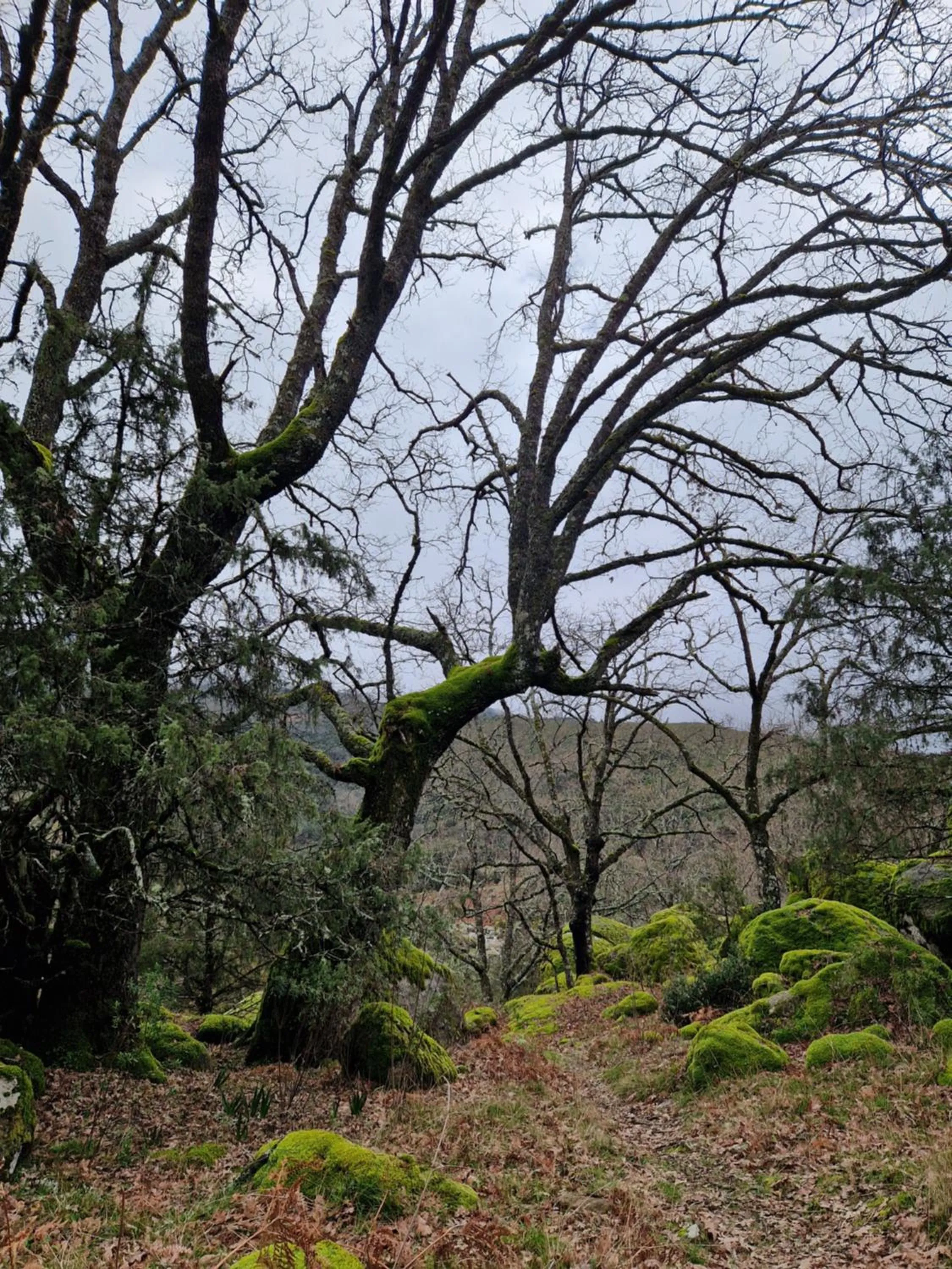 Natural landscape in El Atalanto