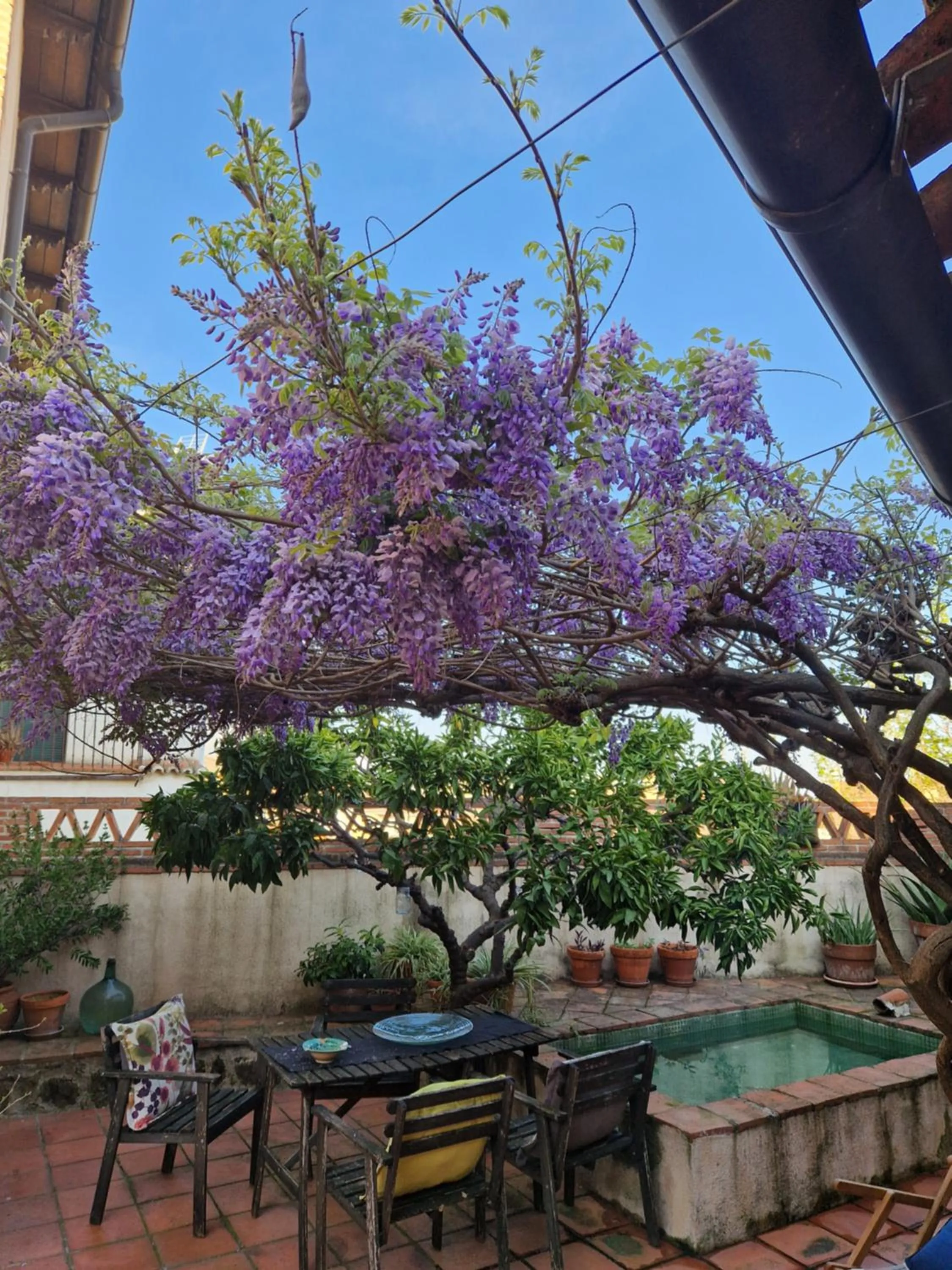 Patio in El Atalanto