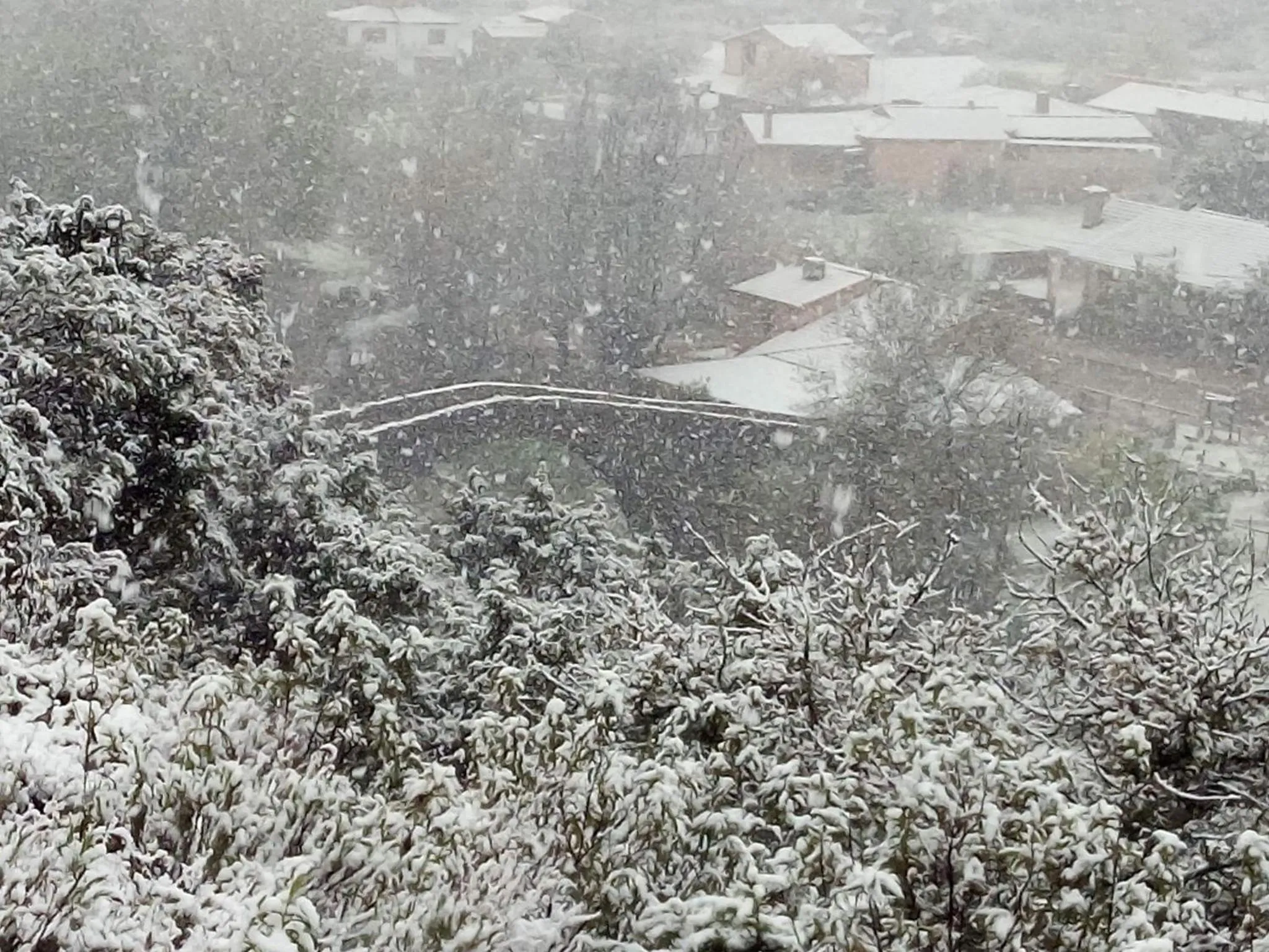 Winter in El Atalanto