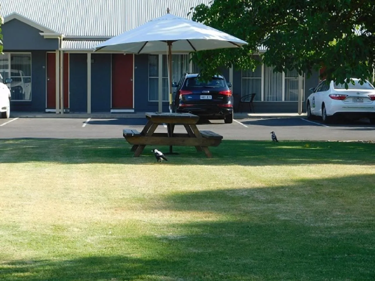 Garden in Alexander Cameron Suites