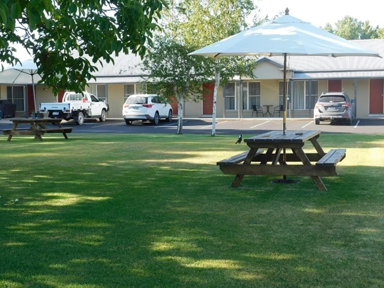 Garden in Alexander Cameron Suites