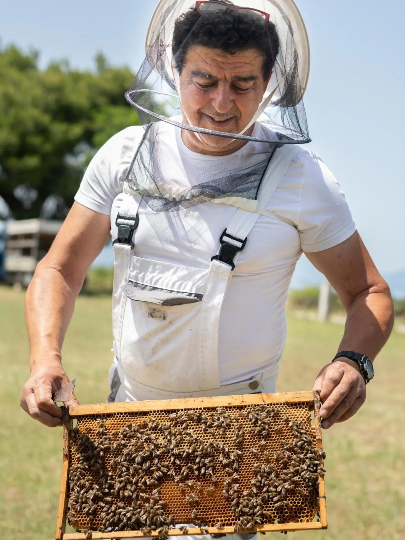 People in Avaton Luxury Beach Resort - Relais & Chateaux