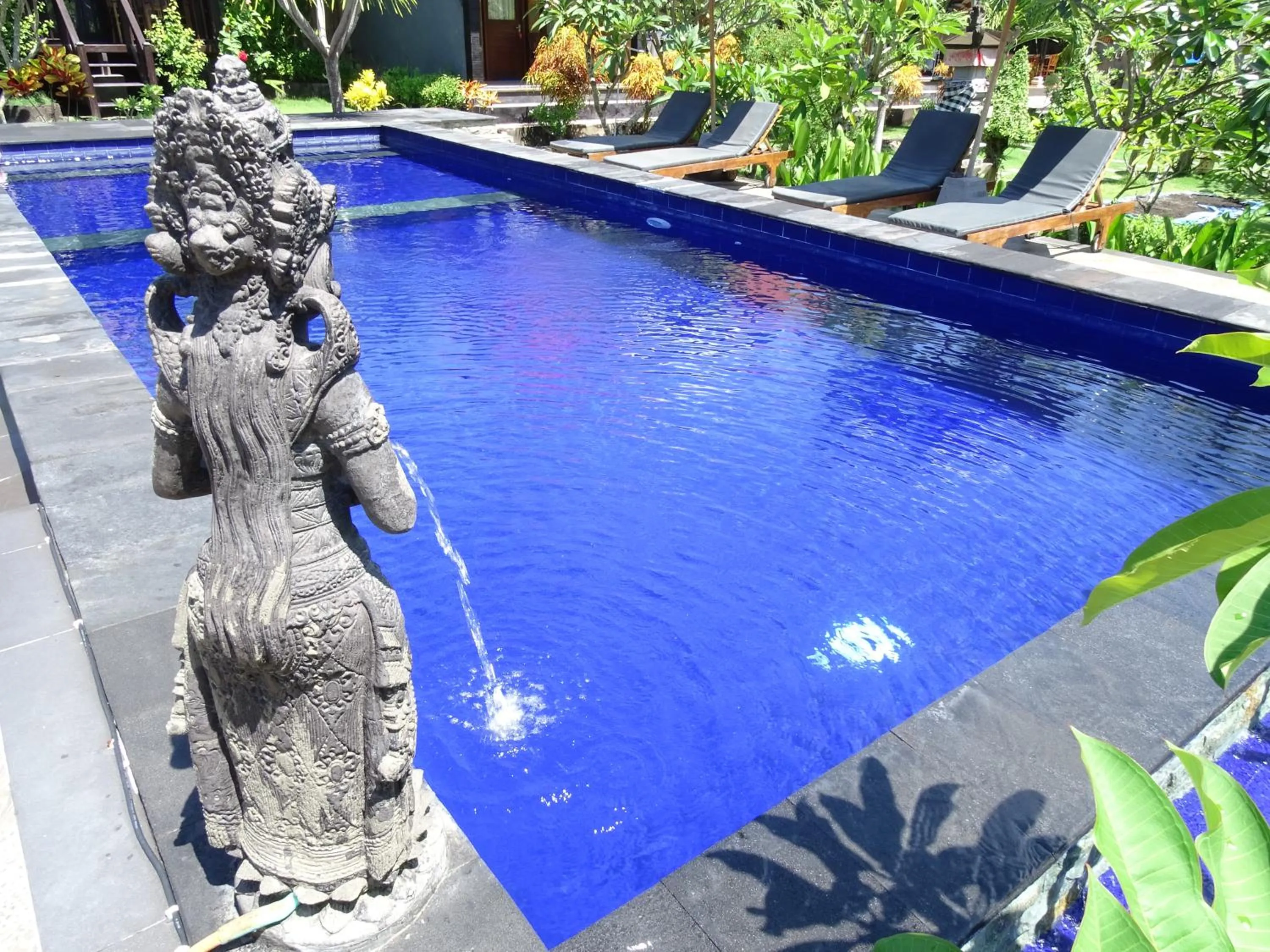 Swimming pool in Perdana Homestay Lembongan