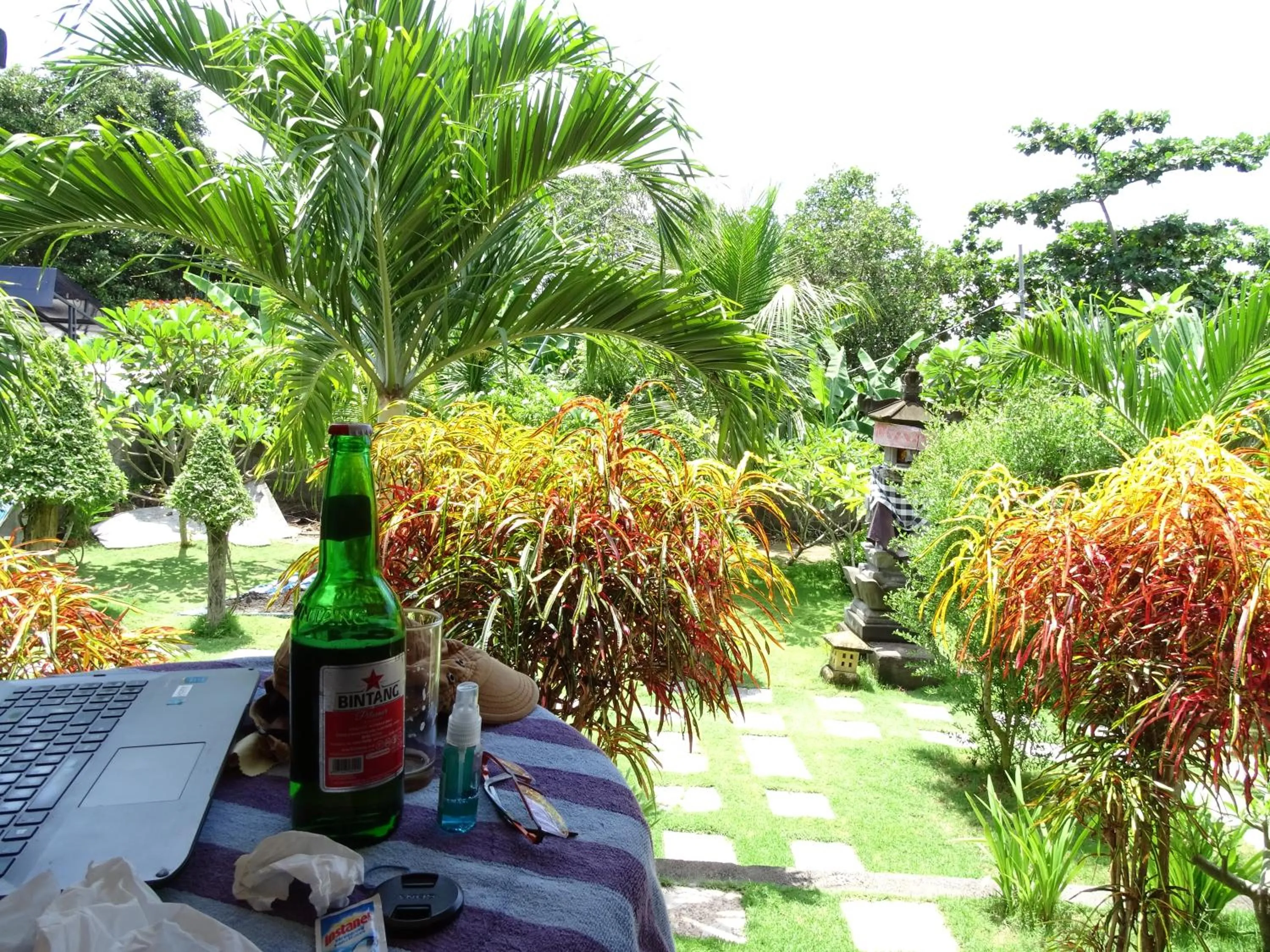 Garden view in Perdana Homestay Lembongan