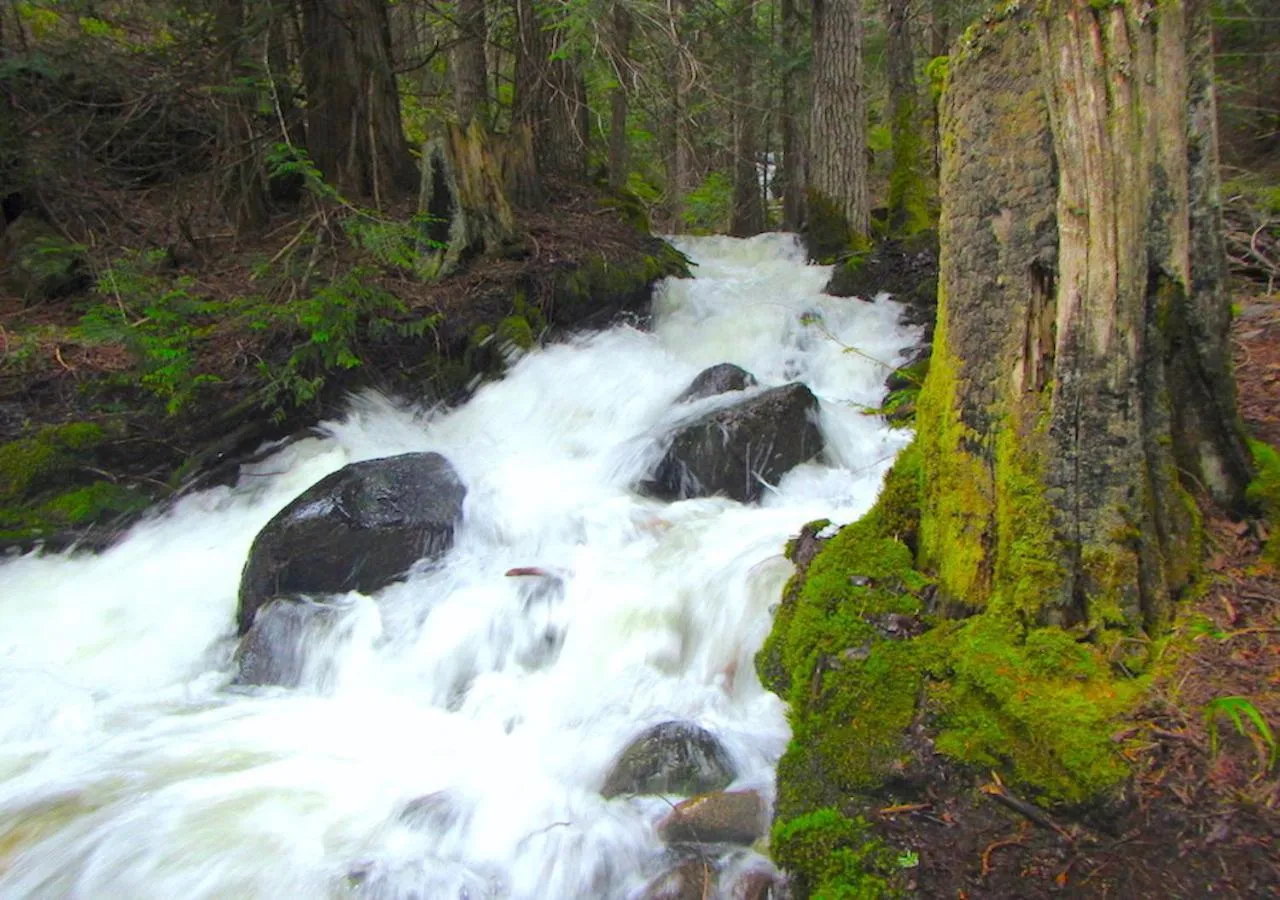 Property building in Logden Lodge