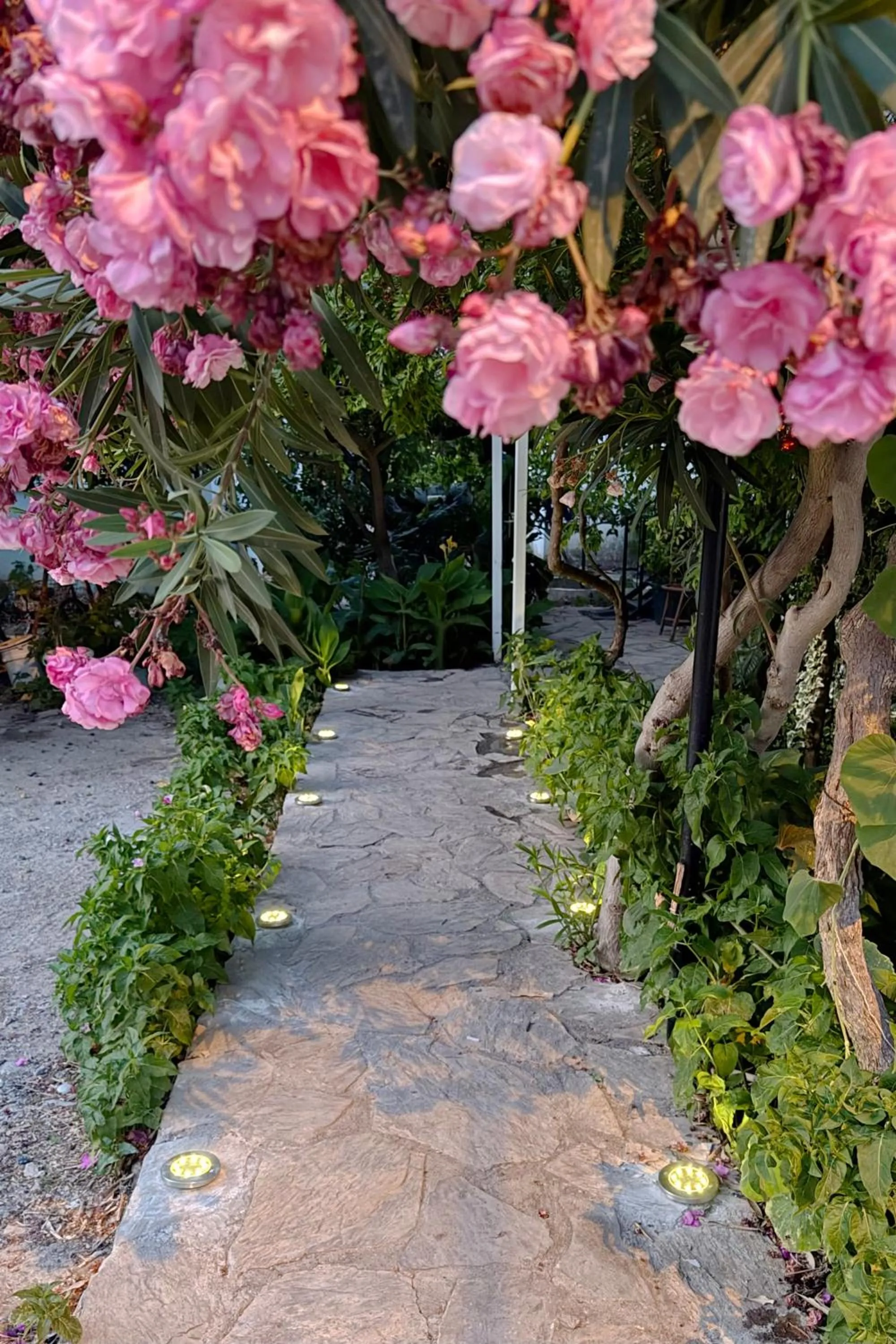 Patio in Kaya Apart Datca