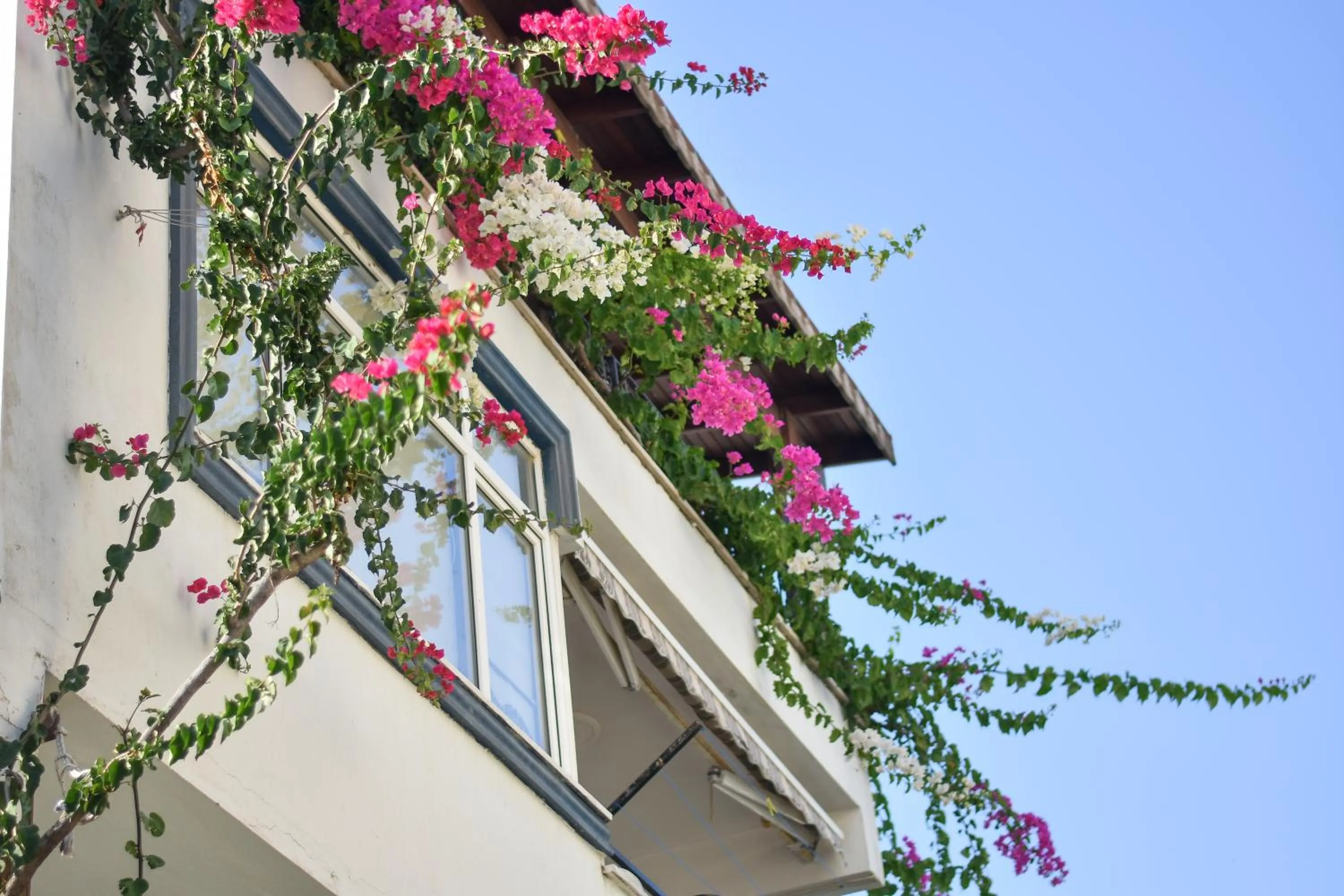 Property building in Kaya Apart Datca