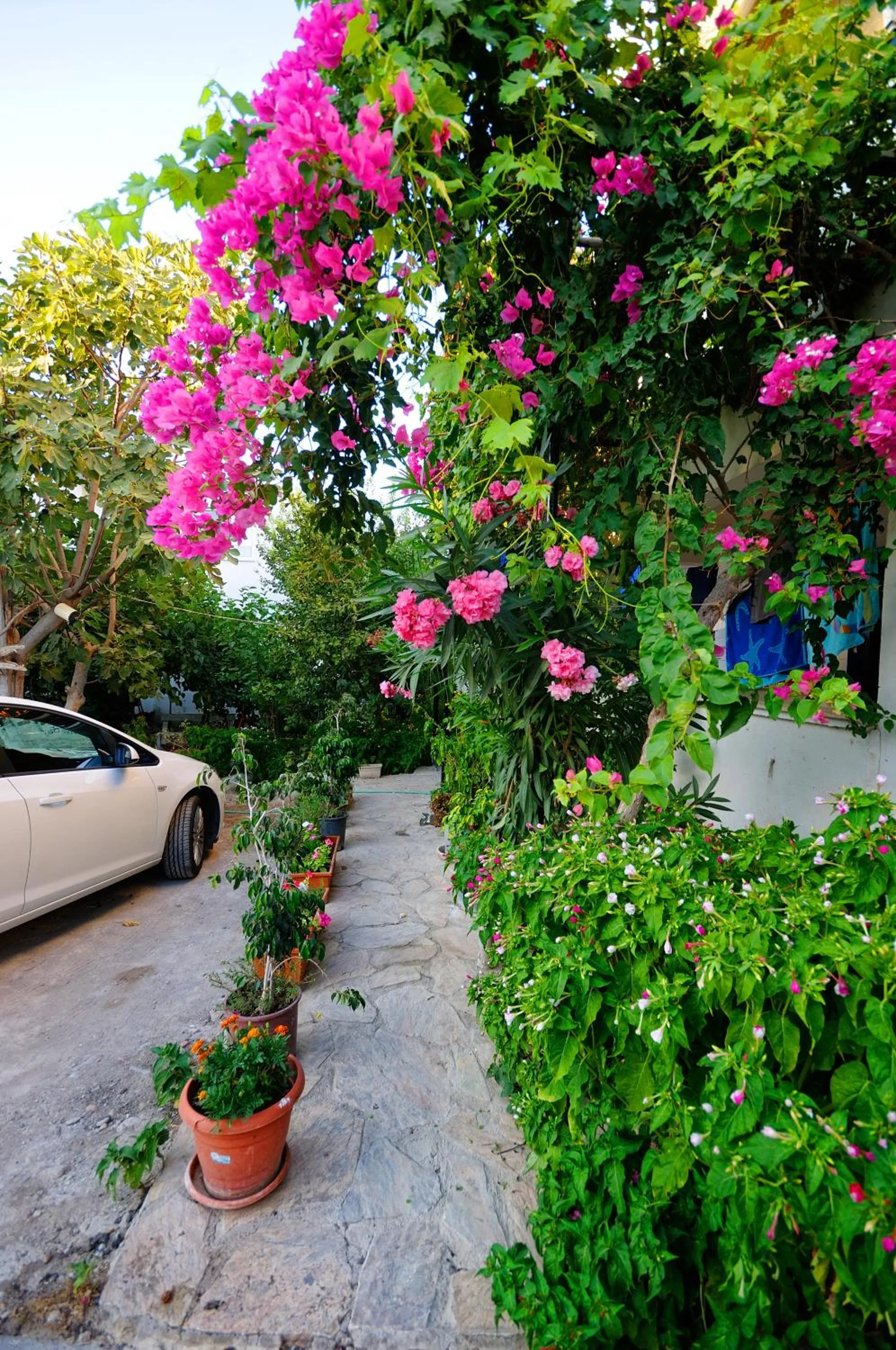 Two-Bedroom Apartment in Kaya Apart Datca