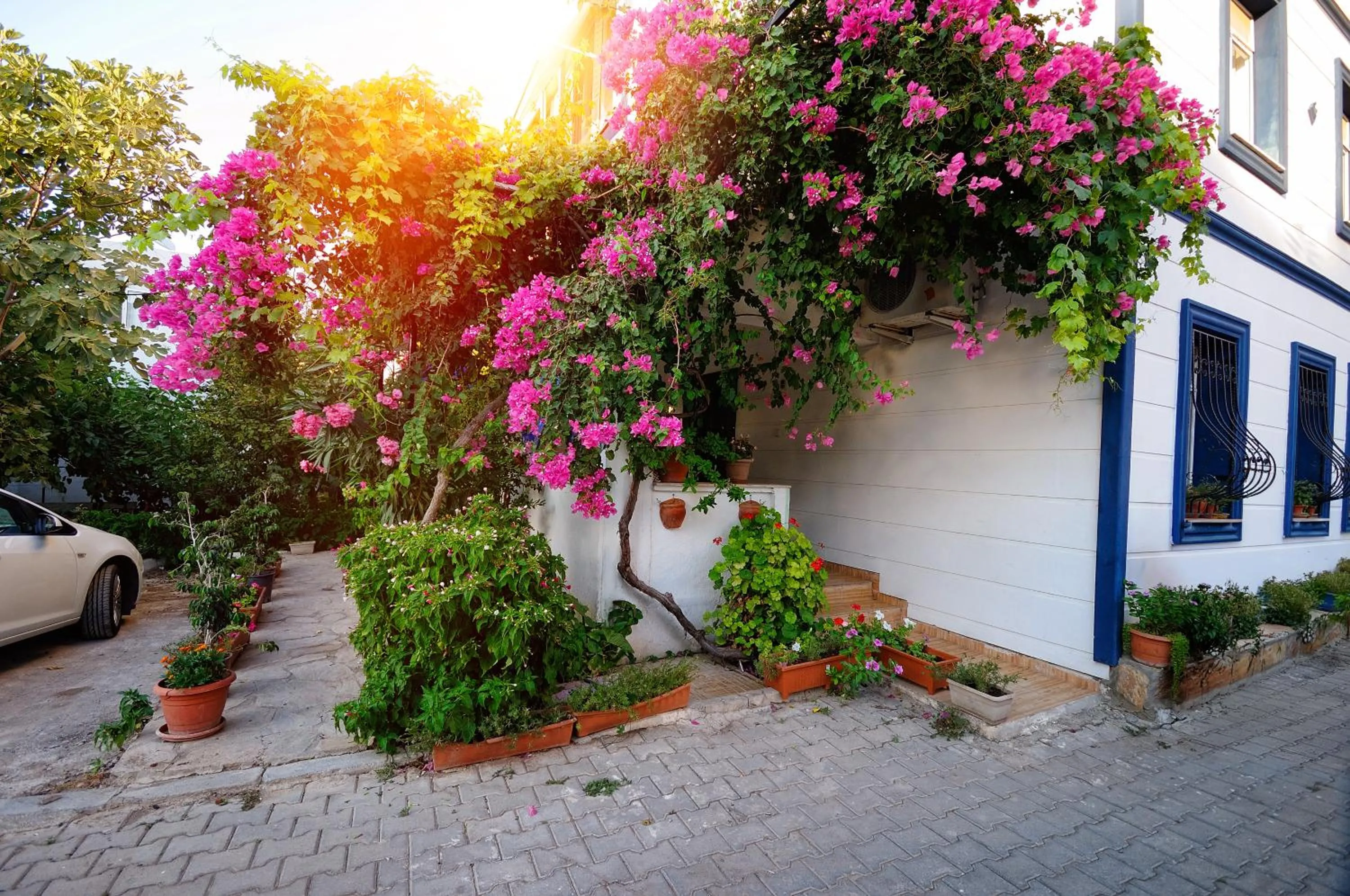 Garden in Kaya Apart Datca