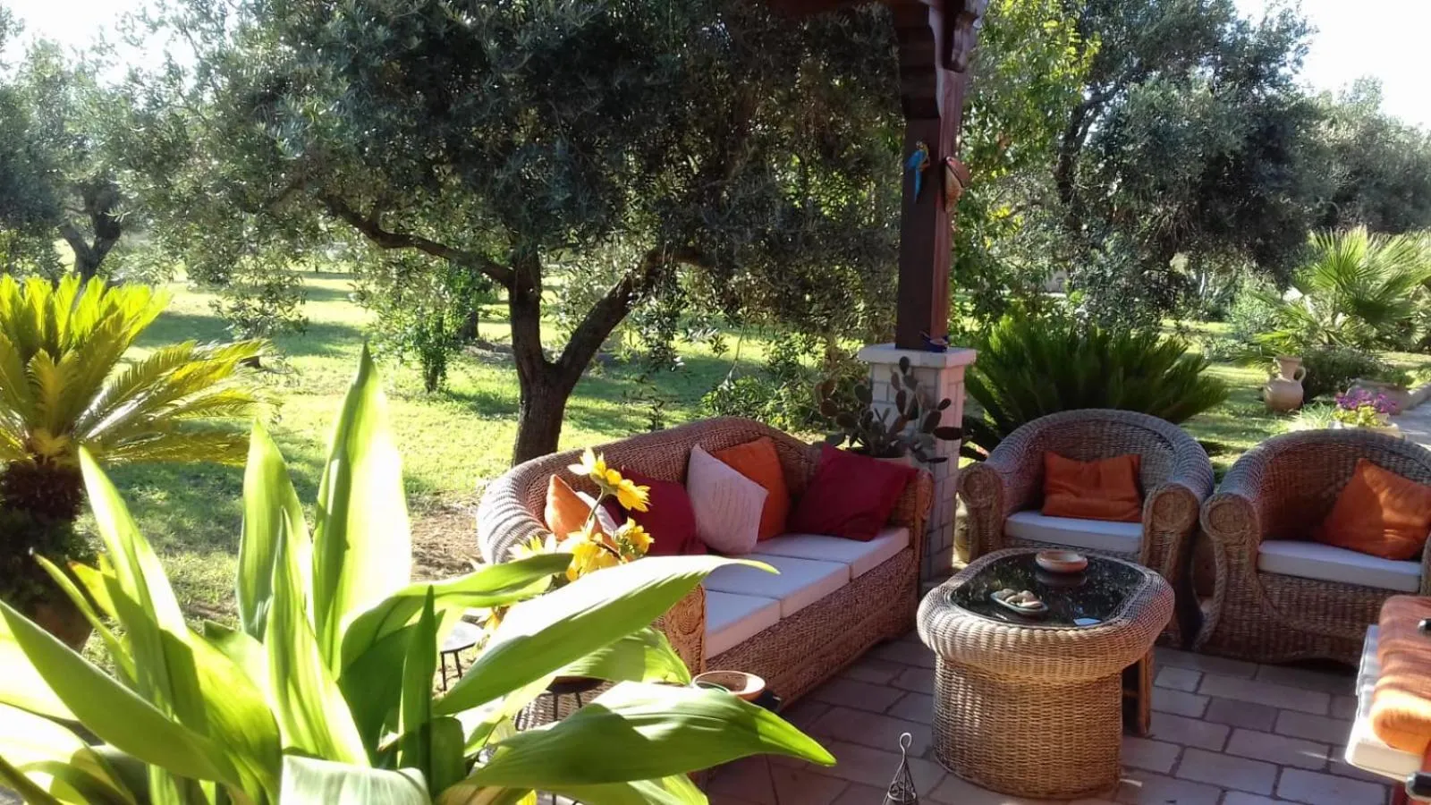 Garden in B&b Elda Salento