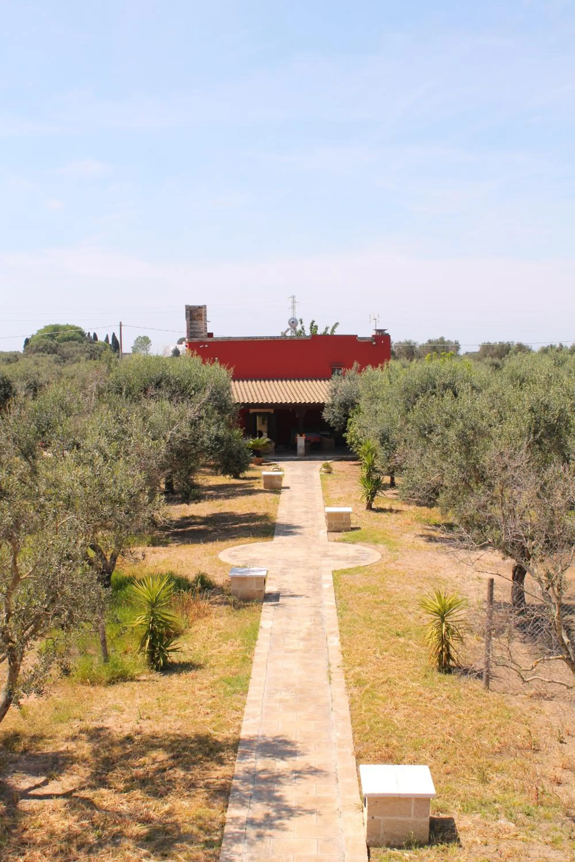 Spring in B&b Elda Salento