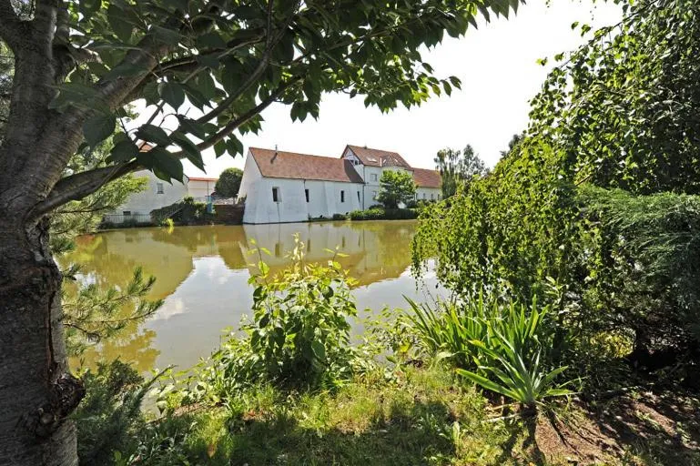 Property building in Yard Resort