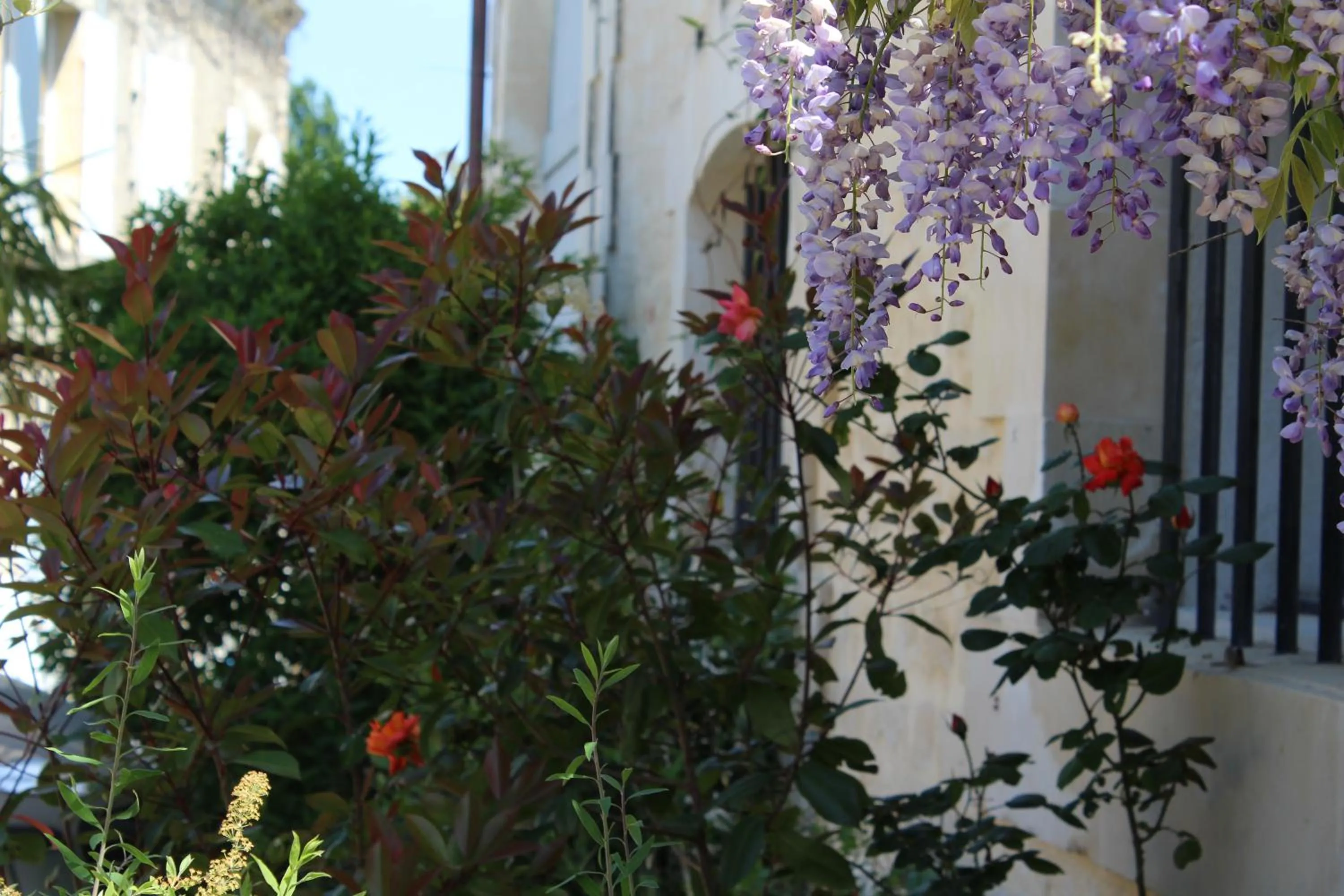 Property building in Chambre d'Hôtes La Grenade Bleue