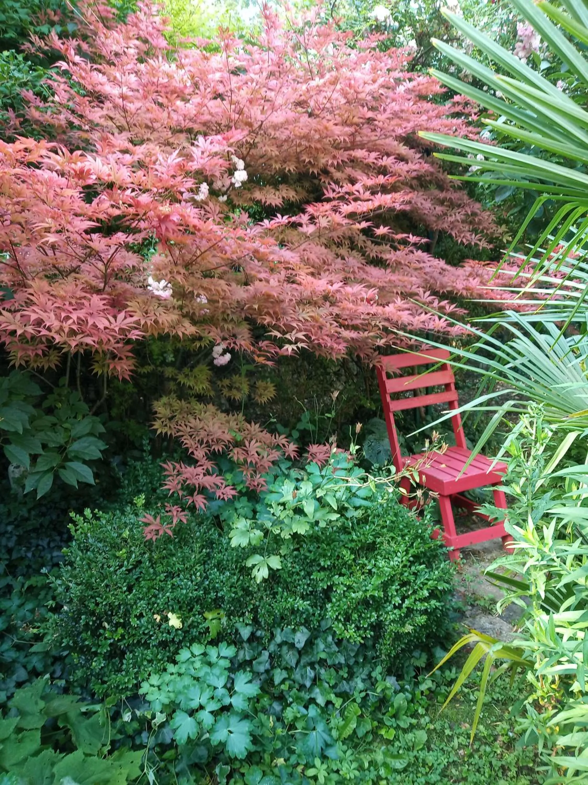 Garden in Chambre d'Hôtes La Grenade Bleue