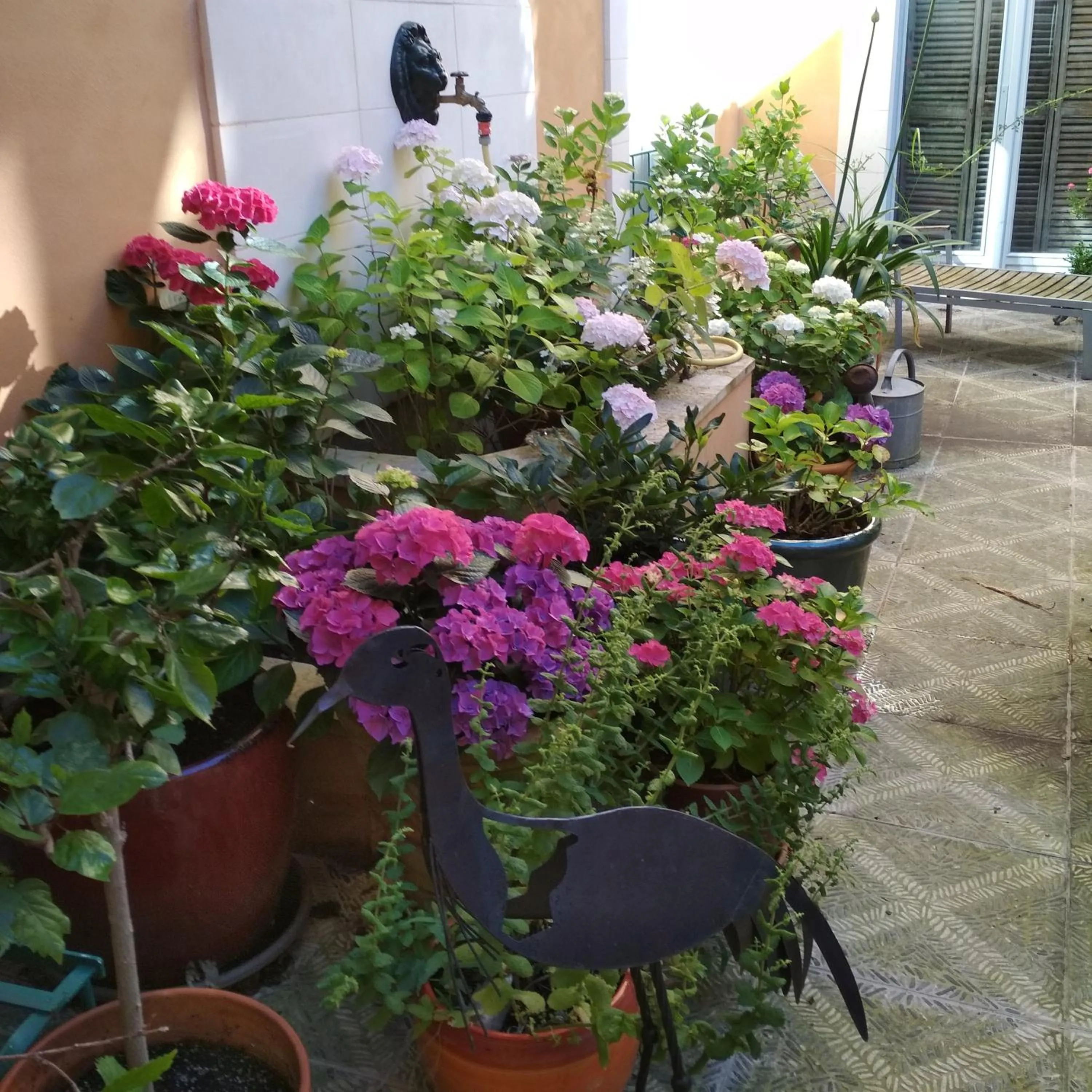 Patio in Chambre d'Hôtes La Grenade Bleue