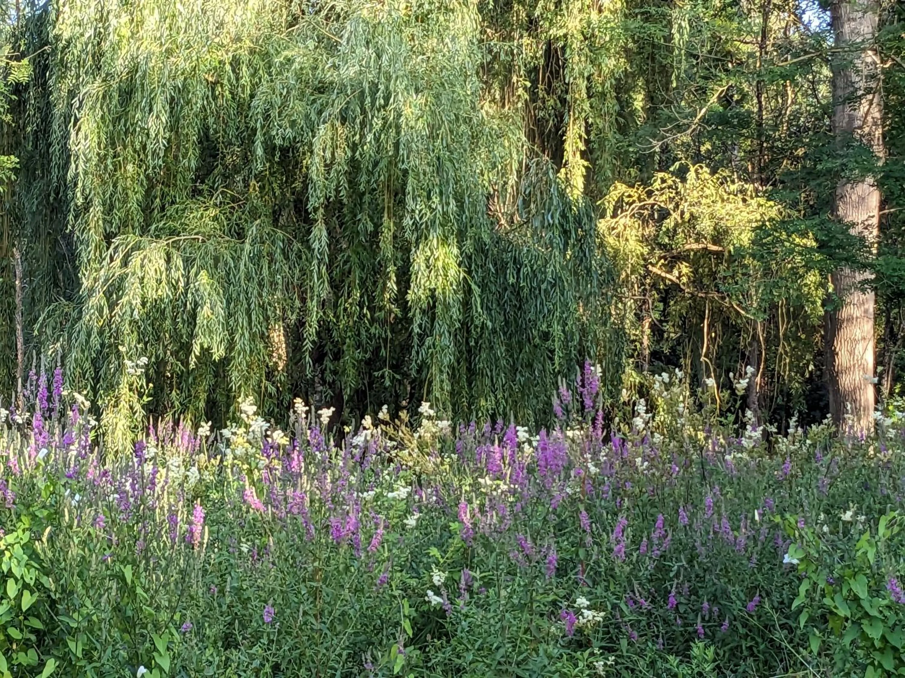 Natural landscape in Chambre d'Hôtes La Grenade Bleue