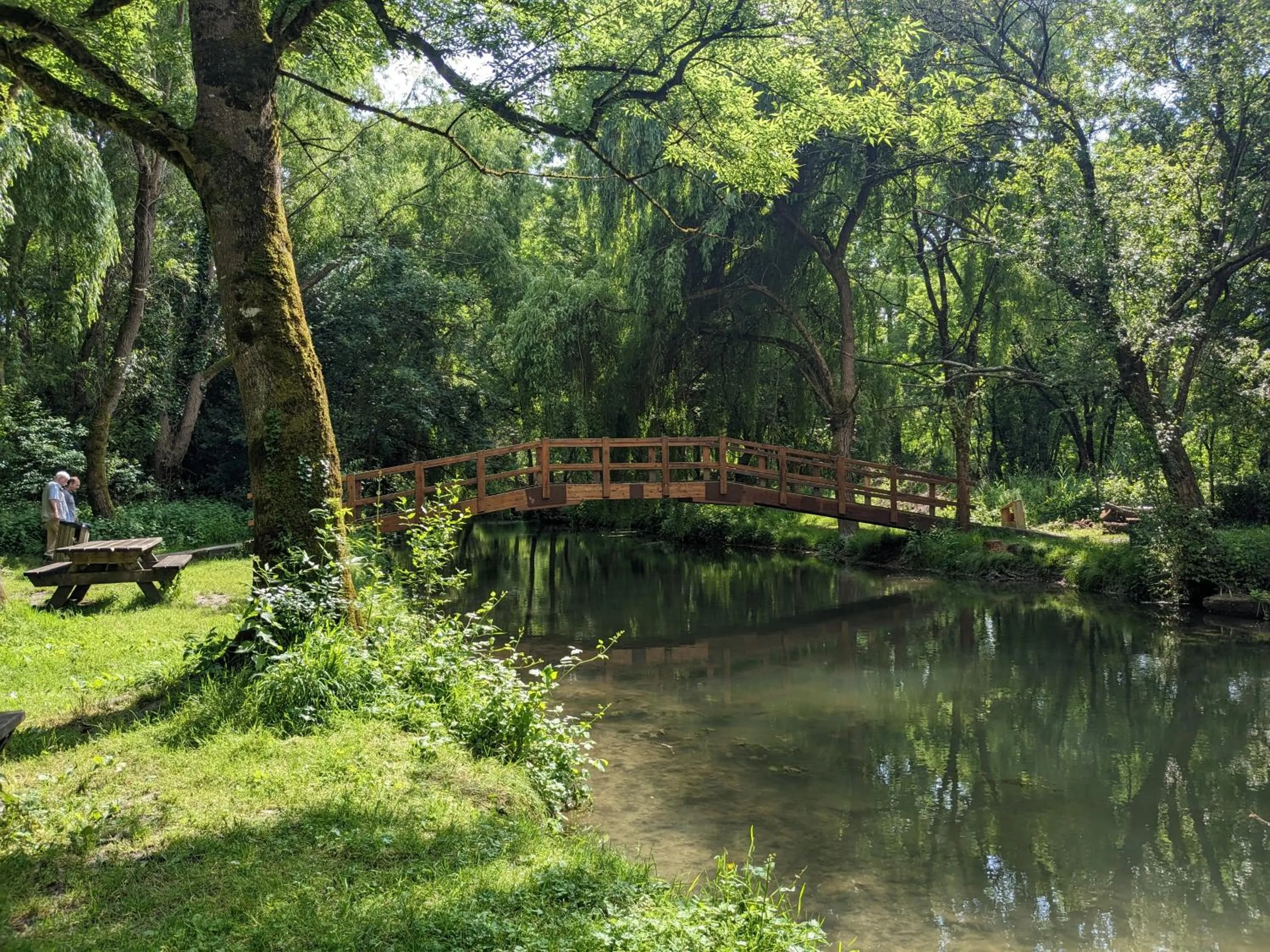 Garden in Chambre d'Hôtes La Grenade Bleue