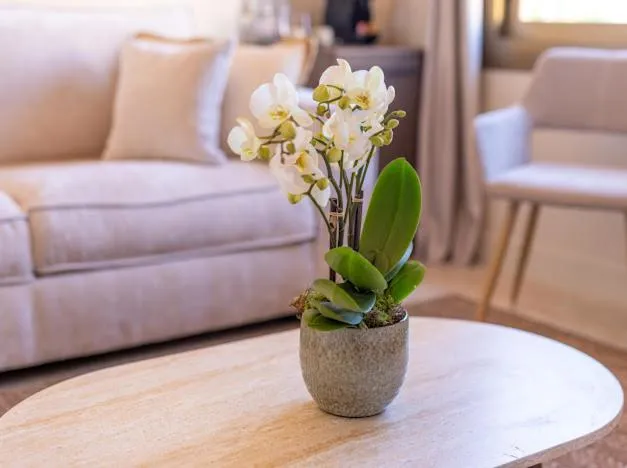 Seating area in Hôtel Lou Juan