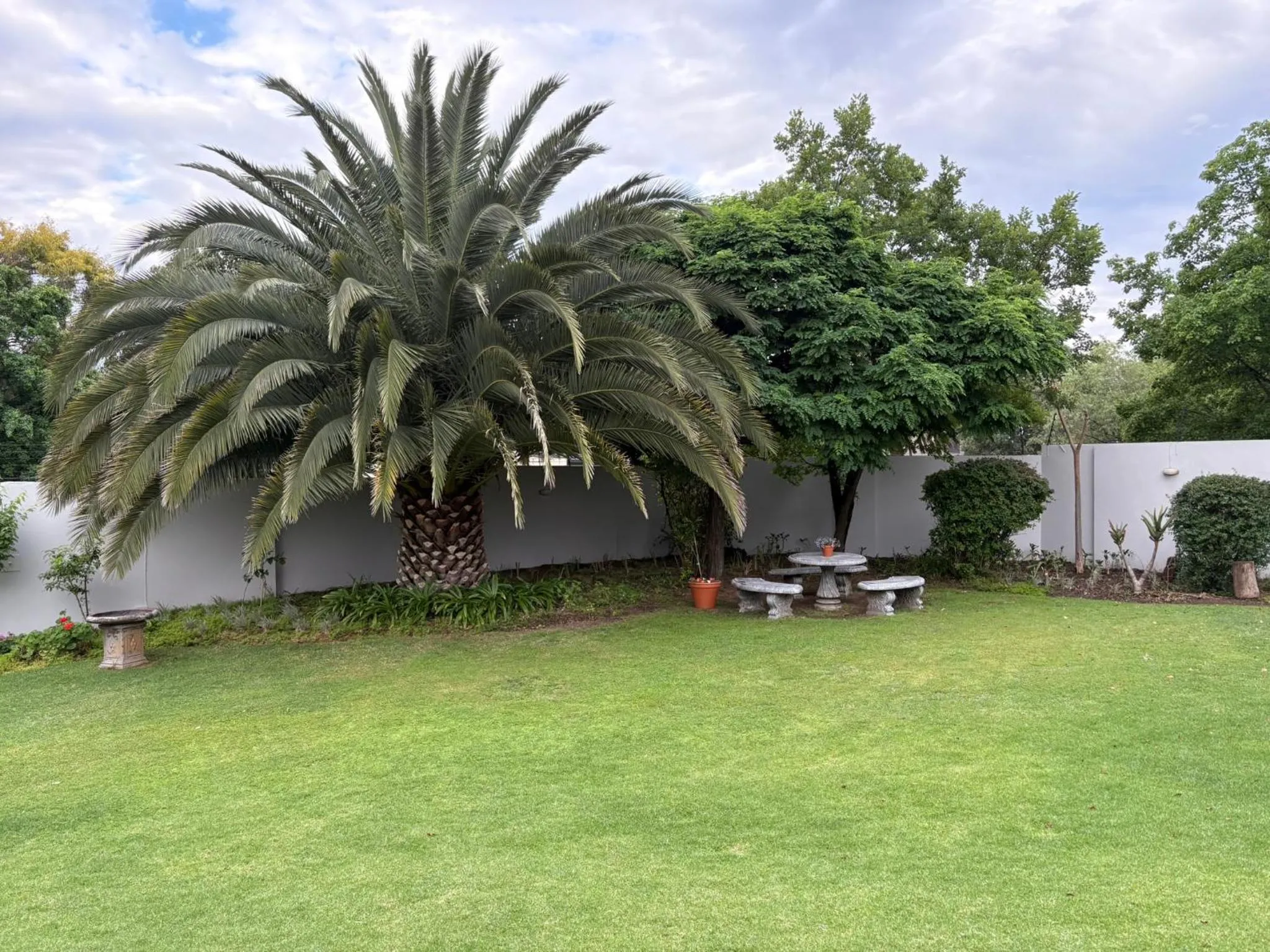 Garden in The Suburban Guest House