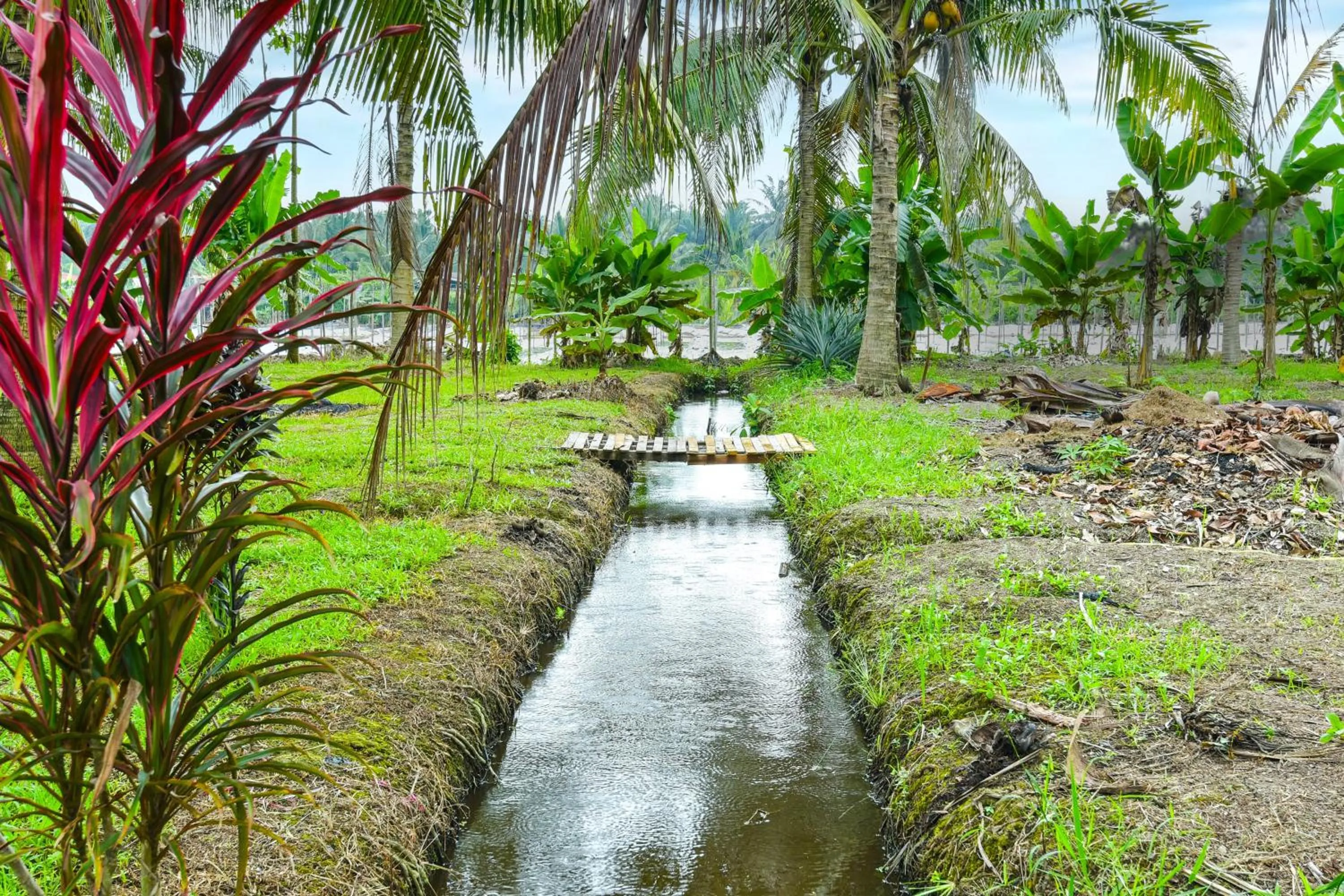 Other in Hotel O Asiacamp Chalet Tanjung Karang